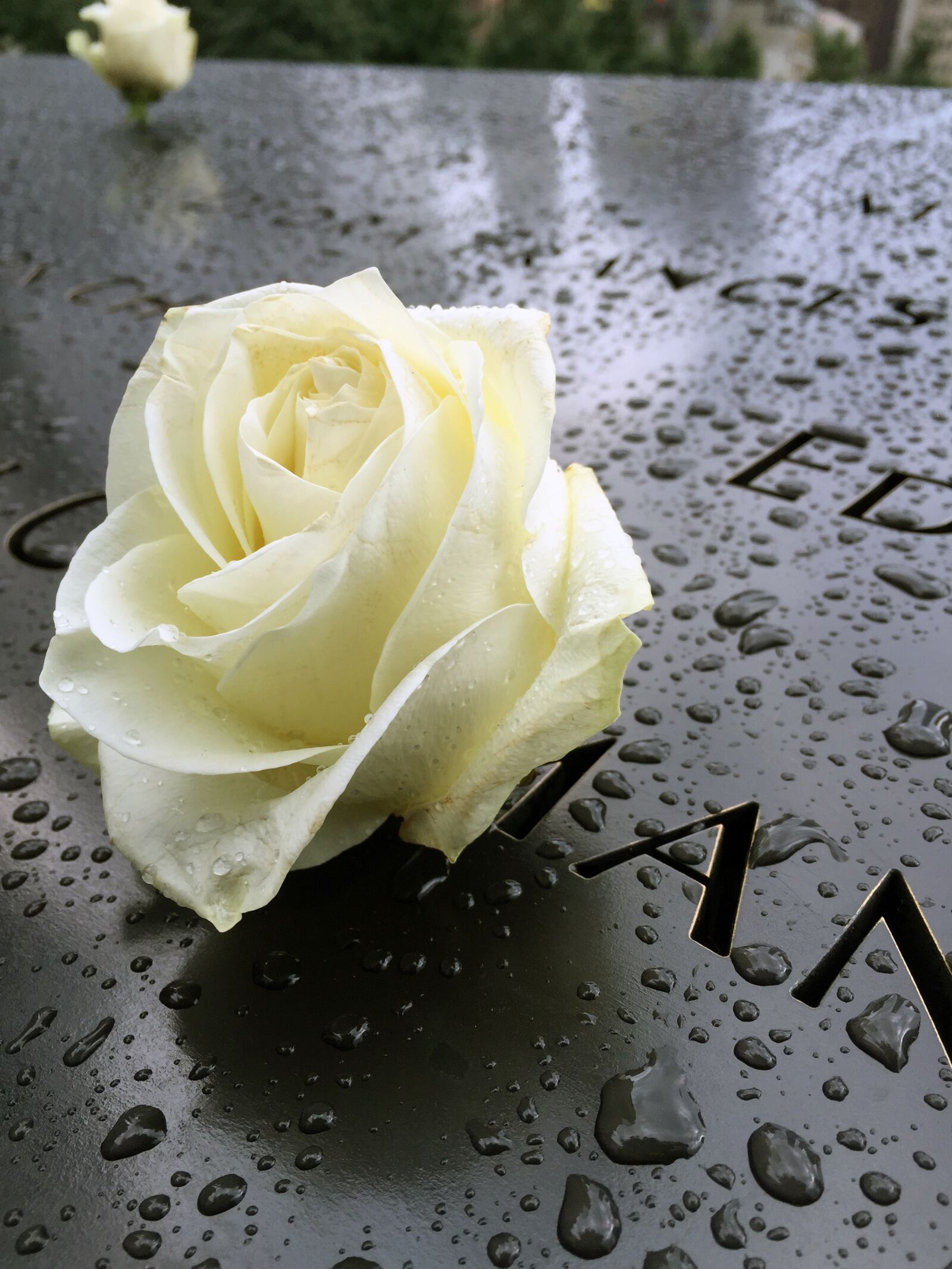 iPhone 6 Plus back camera 4.15mm f/2.2 sample photo. Memorial, nyc, manhattan photography