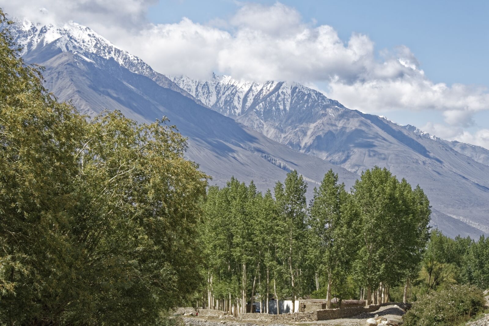 Nikon D500 sample photo. Tajikistan, vrang, village photography