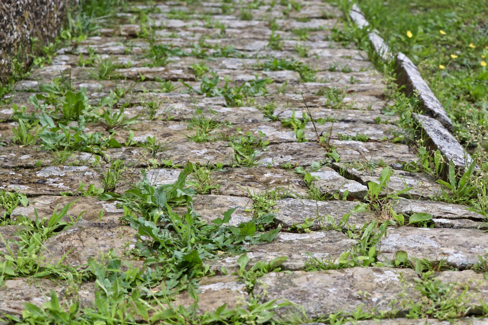 Canon EF-S 18-135mm F3.5-5.6 IS USM sample photo. Ancient, pavement, old palace photography