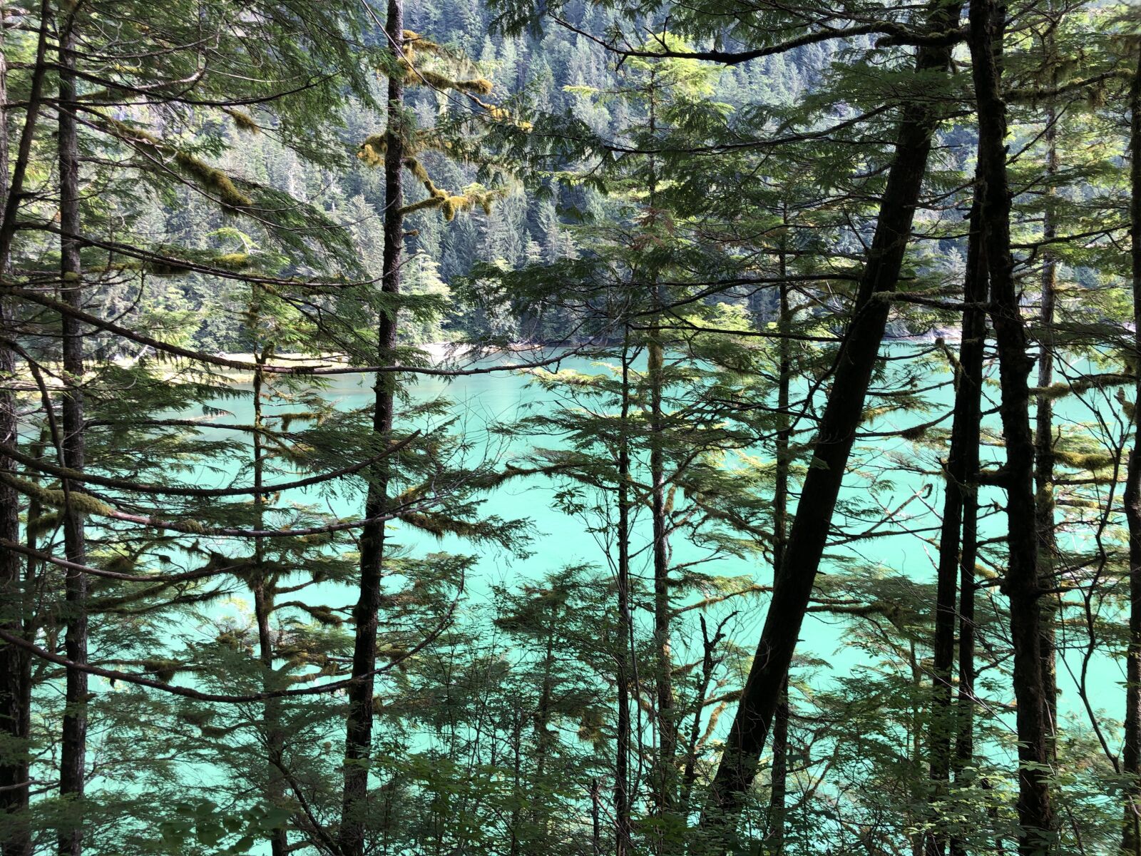 Apple iPhone X sample photo. Forest, emerald water, nature photography