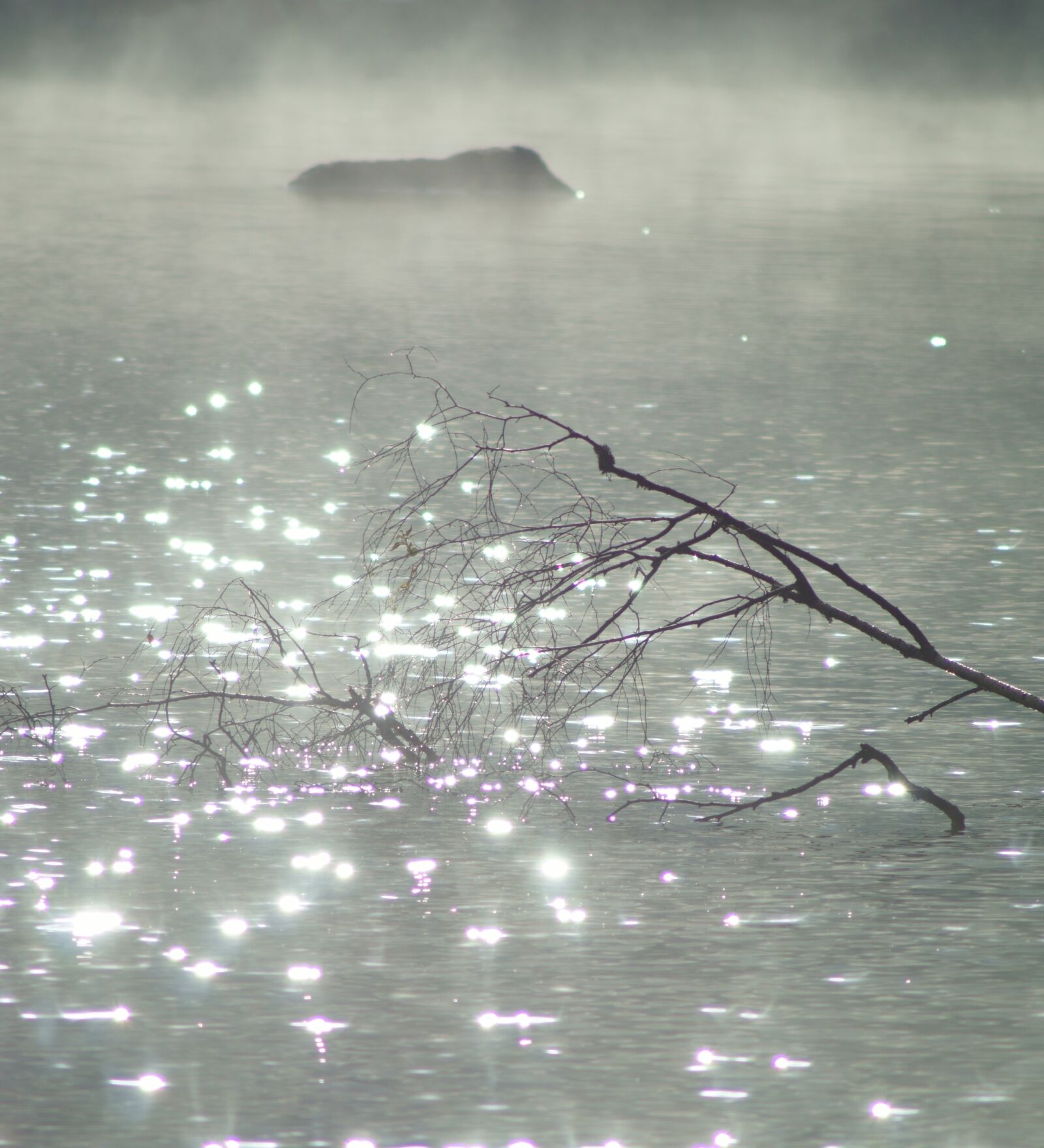 Sony SLT-A58 sample photo. Sunlight, reflection, w photography