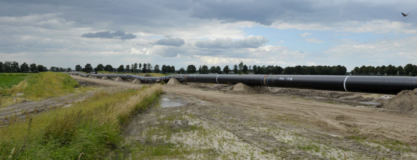 Nikon D700 sample photo. Industrial, energy, gasoline photography