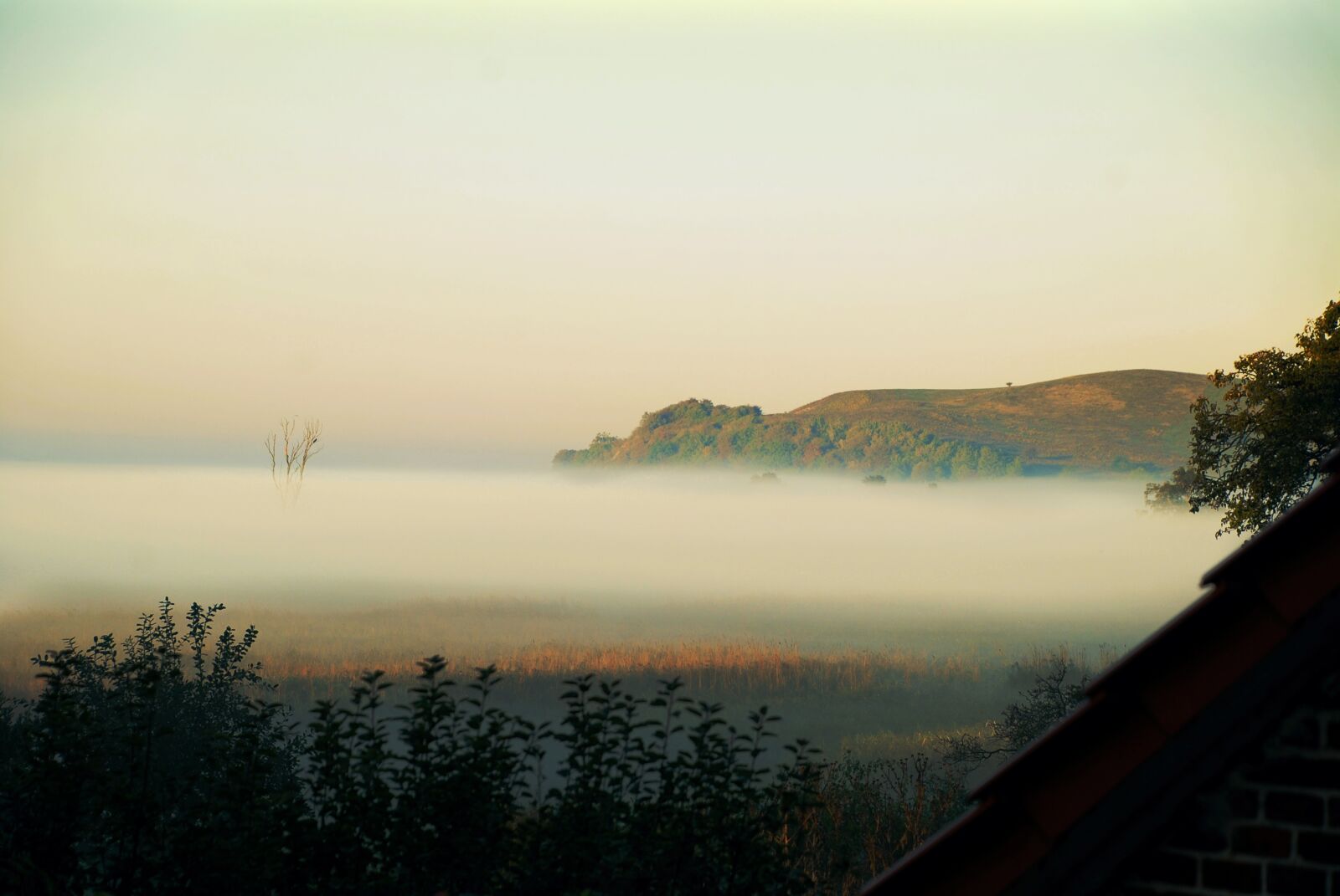 Nikon D80 sample photo. Sunrise, fog, sea photography