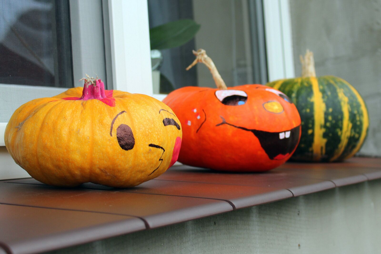 Canon EOS 1200D (EOS Rebel T5 / EOS Kiss X70 / EOS Hi) sample photo. Pumpkins, happy, vegetables photography