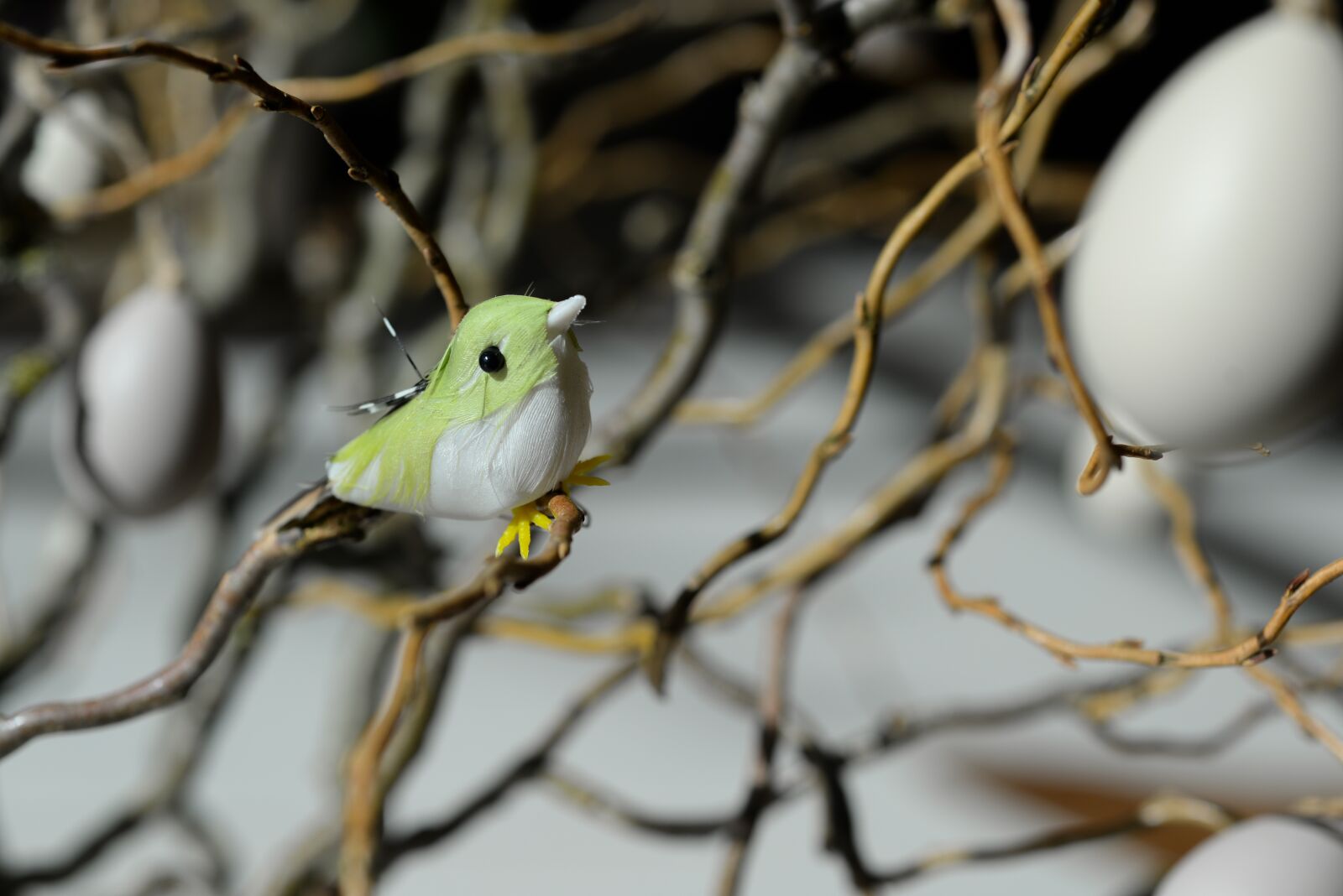 Nikon D610 sample photo. Easter, egg, bird photography