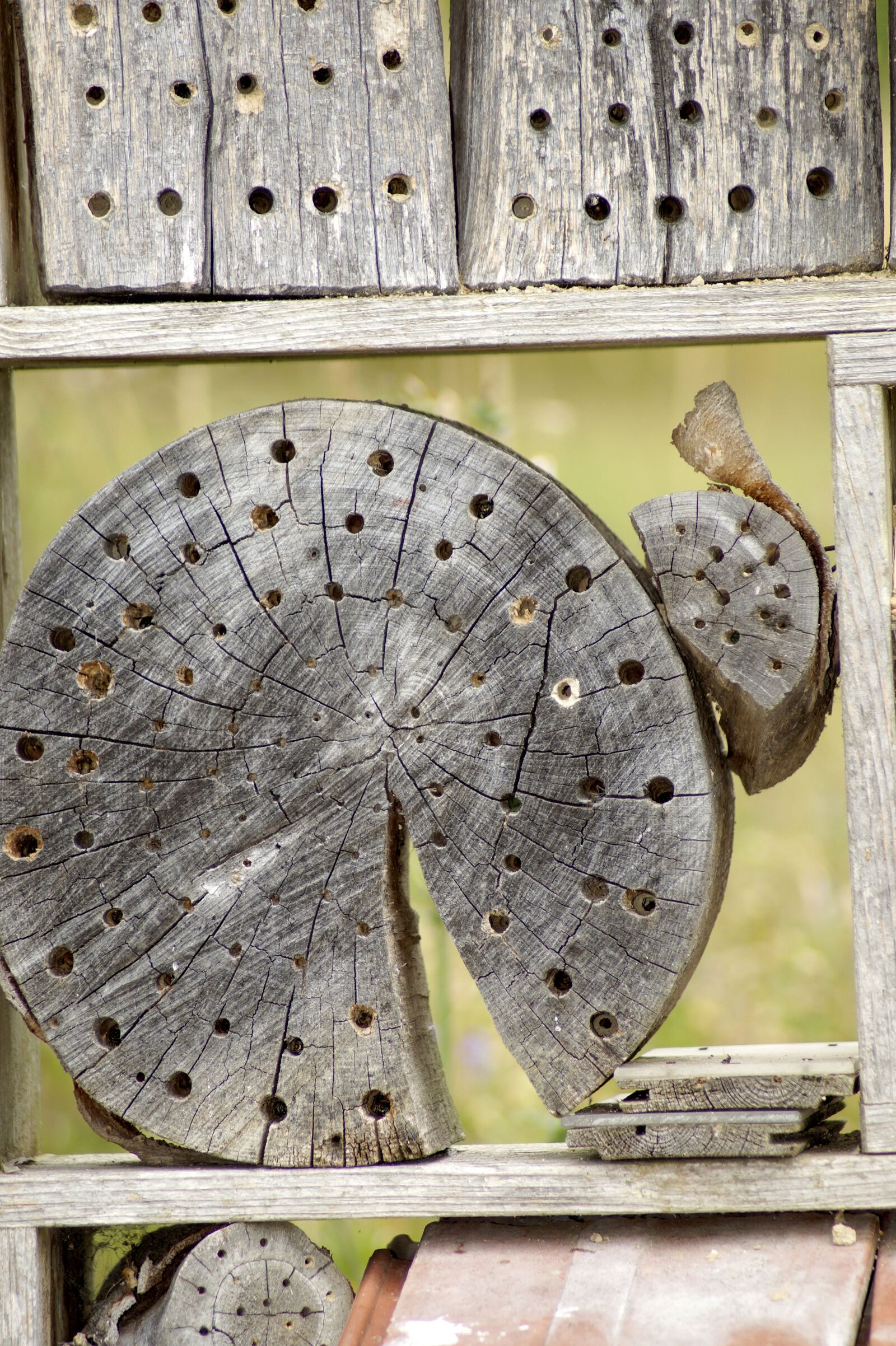 Sony SLT-A58 sample photo. Insect hotel, insect house photography