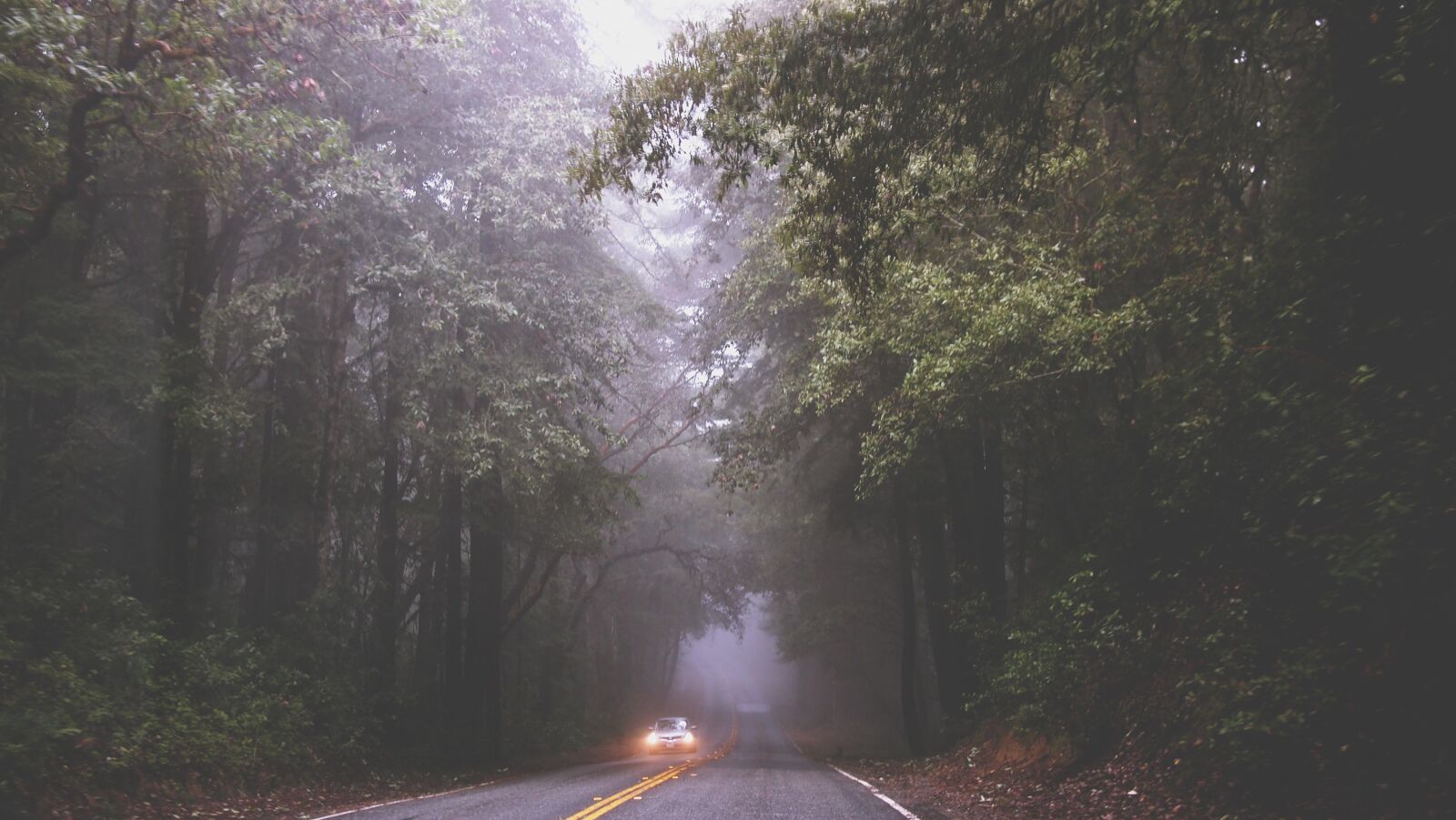 Olympus PEN E-PL1 sample photo. Road, fog, mist photography