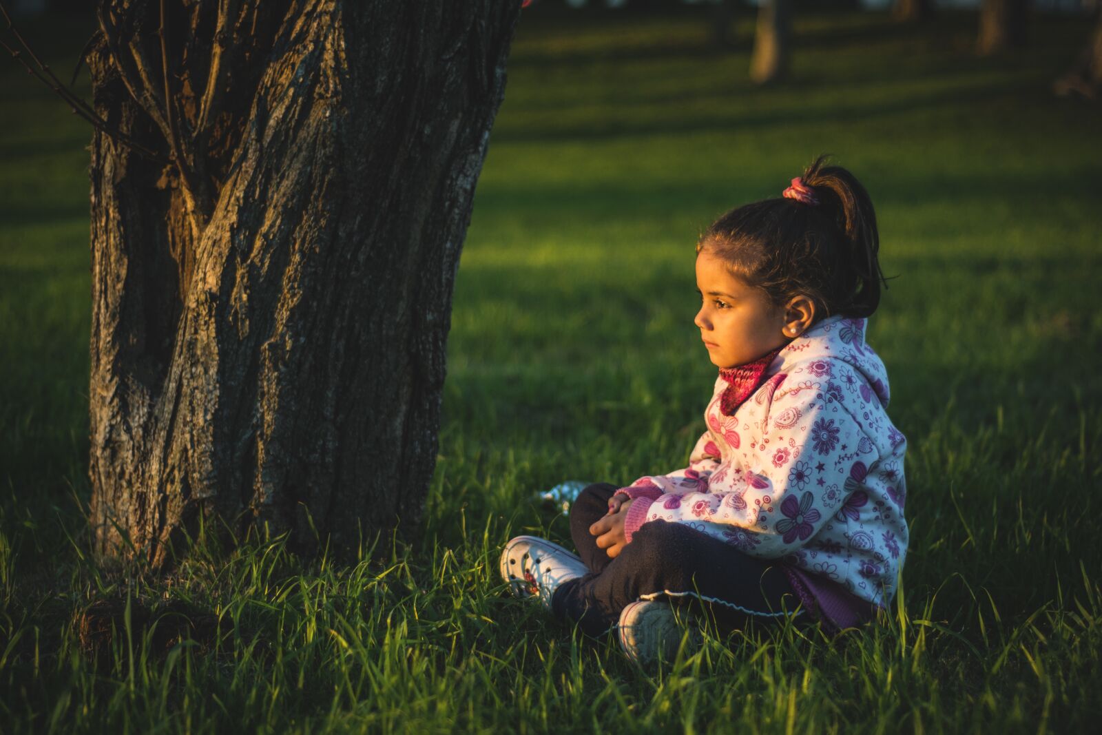 Nikon D5200 sample photo. Girl, grass, look photography