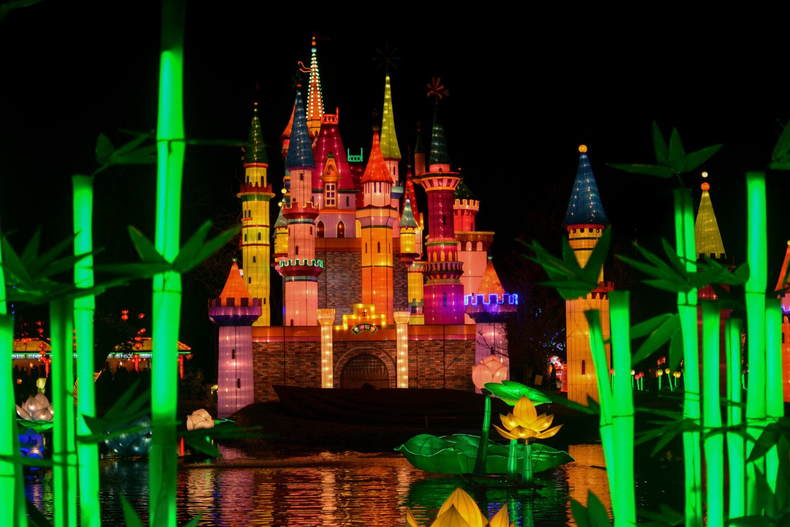 Nikon D7100 sample photo. Light, castle, night photography