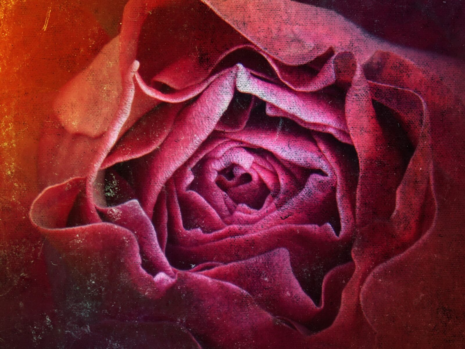 Panasonic DMC-FZ62 sample photo. Rosa, texture, grunge photography