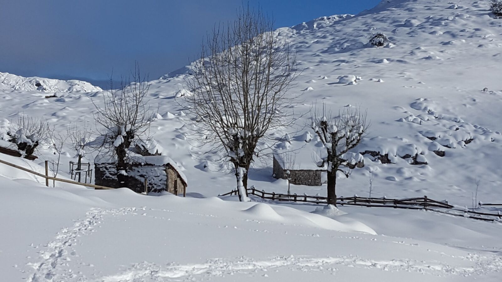Samsung Galaxy S6 sample photo. Snow, winter, cold photography