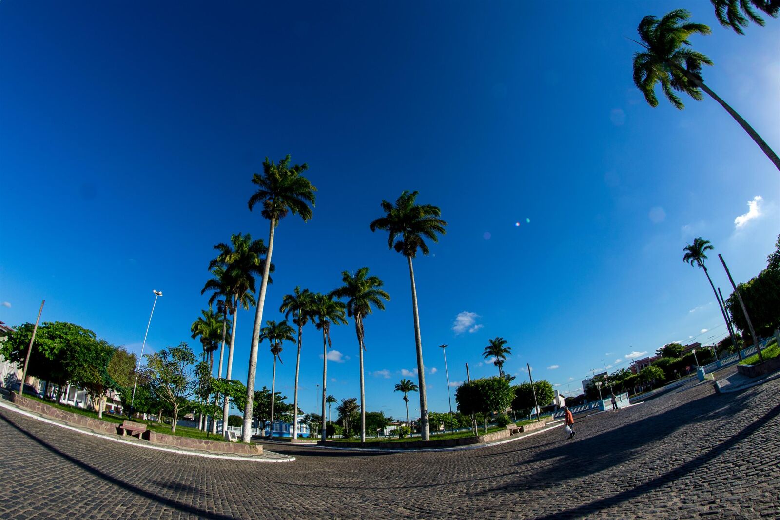 Nikon D3100 sample photo. 8mm, cities, fish, eye photography