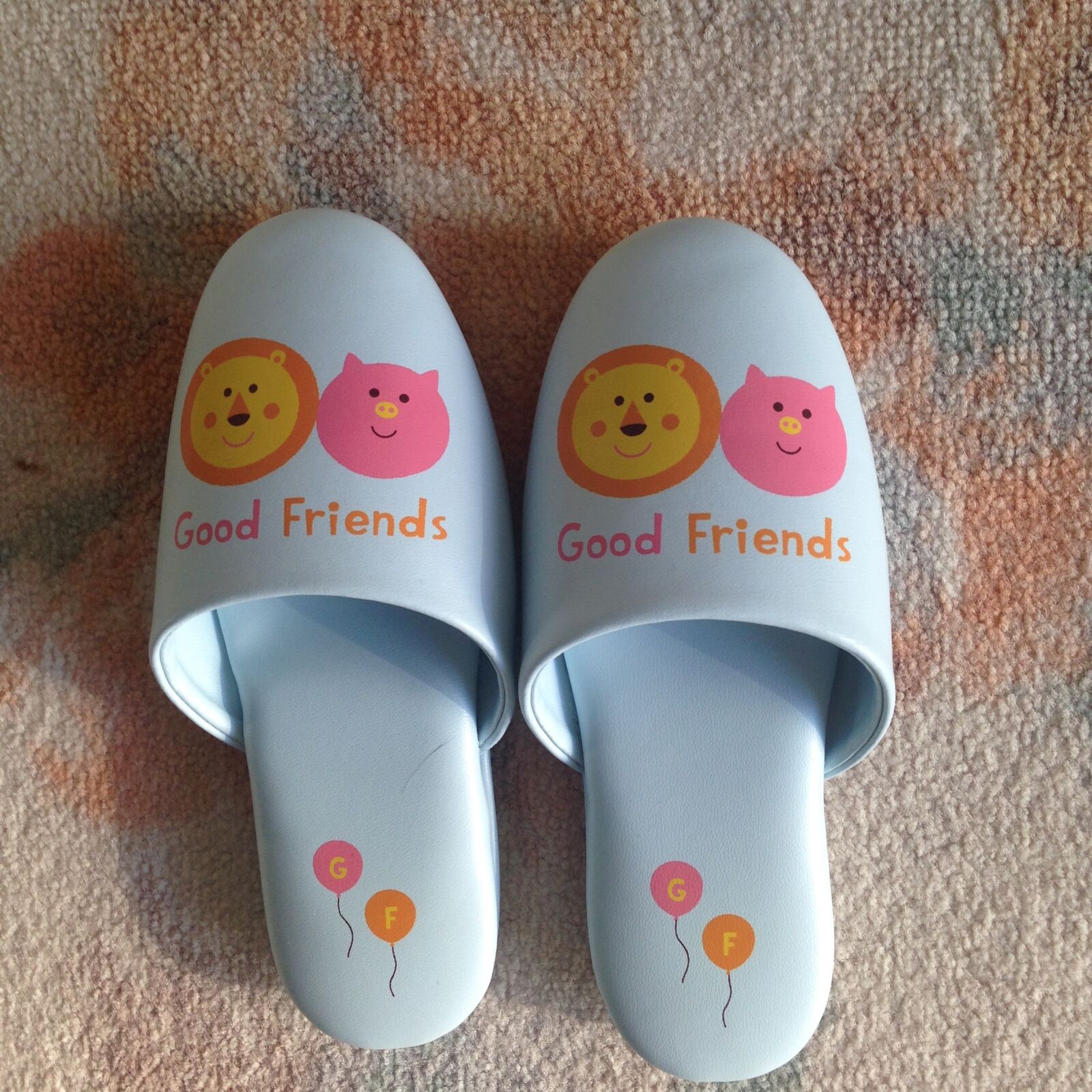 iPhone 5 back camera 4.12mm f/2.4 sample photo. Slippers, food chain, friendship photography