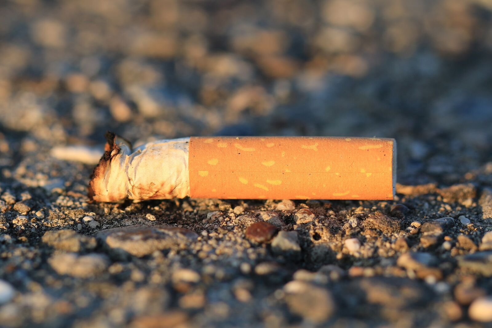Canon EF 100mm F2.8L Macro IS USM sample photo. Cigarette, stub, cheroot photography