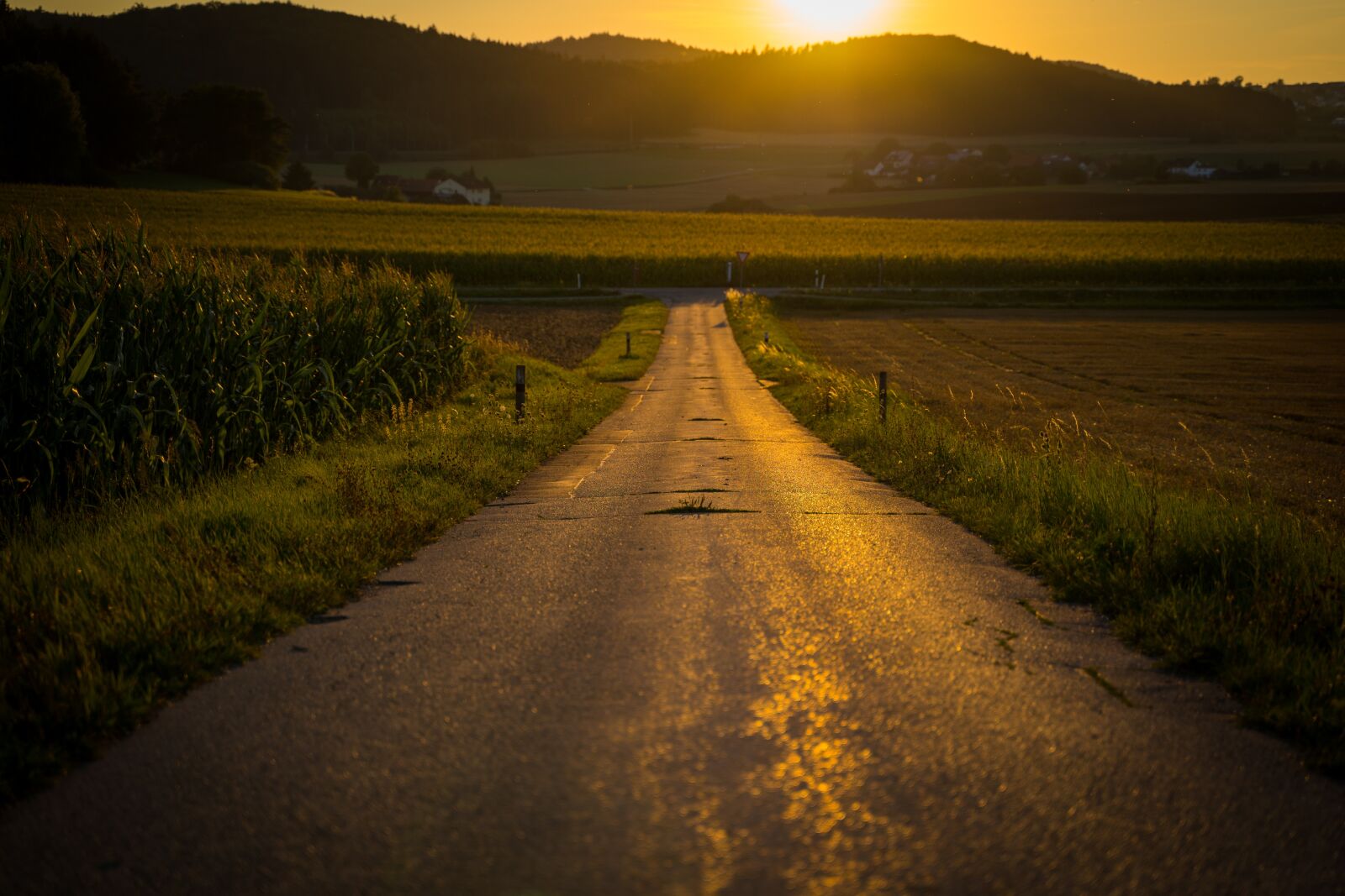 Sony a7 III + Tamron 28-75mm F2.8 Di III RXD sample photo. Away, road, straight photography