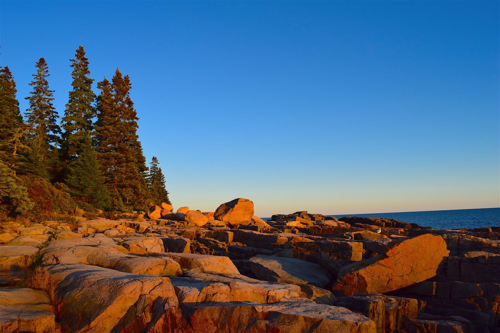 Nikon D3300 sample photo. Sunset, trees, rocks photography