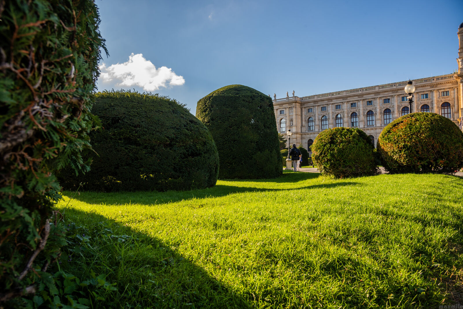 Nikon D750 sample photo