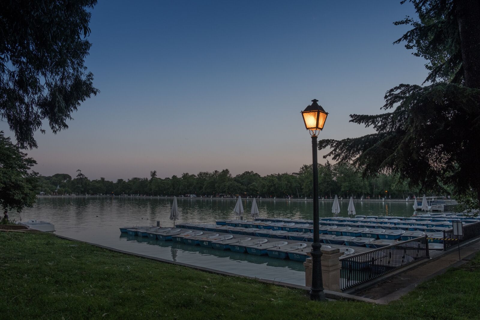 Fujifilm XF 18-55mm F2.8-4 R LM OIS sample photo. Dusk, removal, park photography