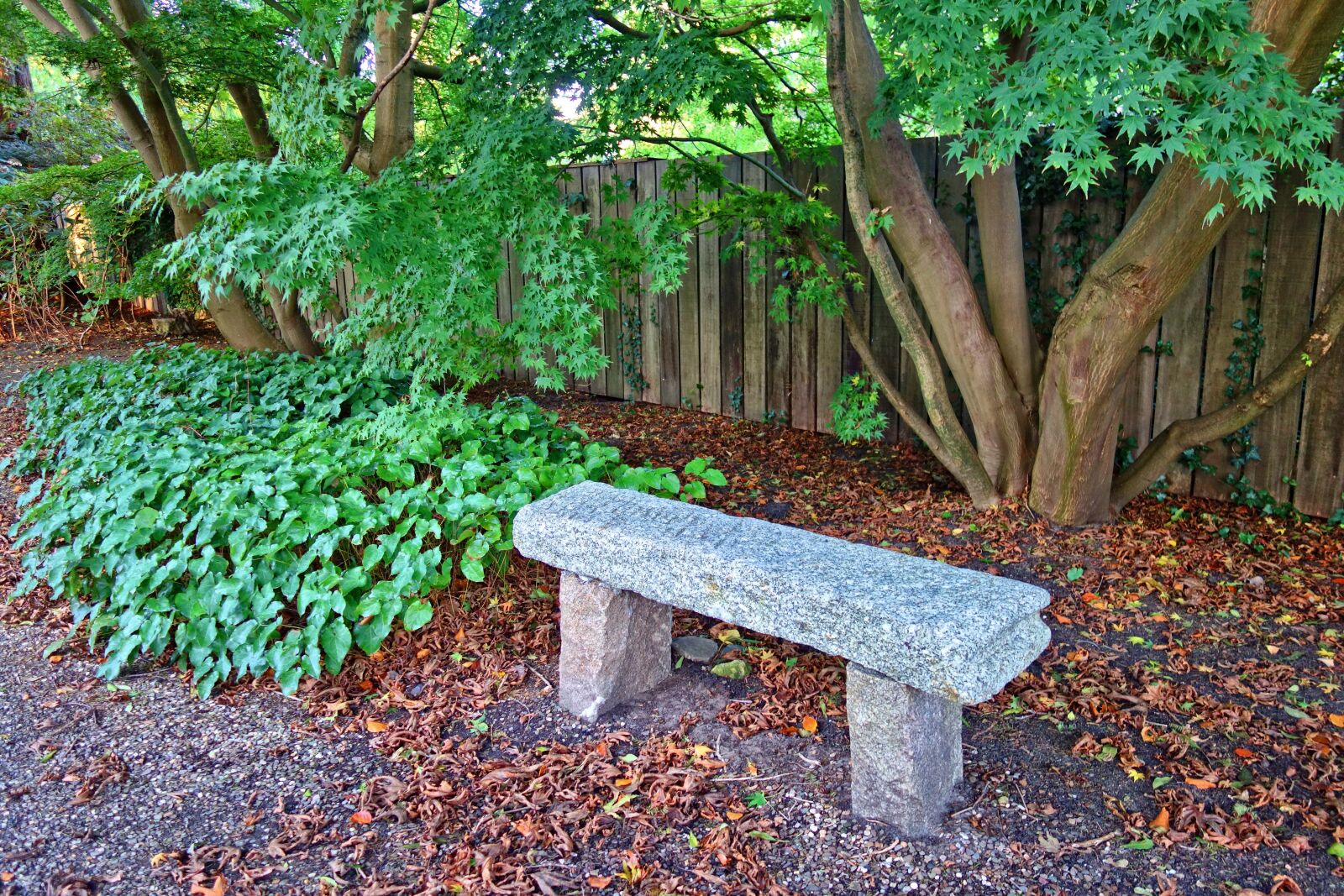 Sony Cyber-shot DSC-RX100 sample photo. Bench, seat, stone bench photography
