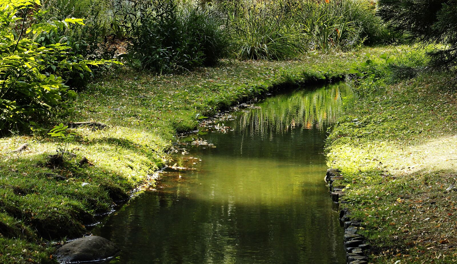Canon EOS 100D (EOS Rebel SL1 / EOS Kiss X7) sample photo. Bach, nature, landscape photography