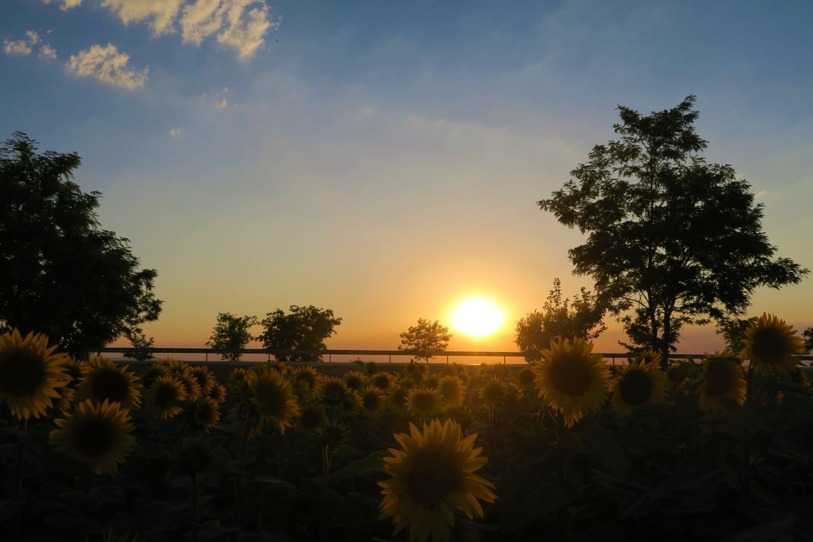 Canon PowerShot G7 X sample photo. Sunset, nature, landscape photography
