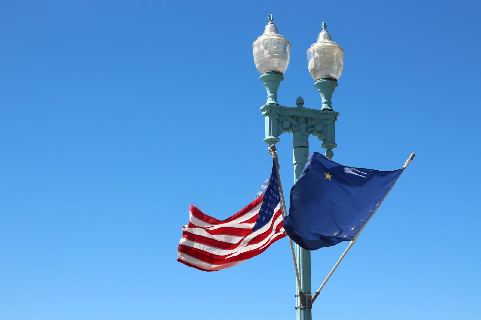 Canon EOS 700D (EOS Rebel T5i / EOS Kiss X7i) sample photo. Alaskan flag, american flag photography