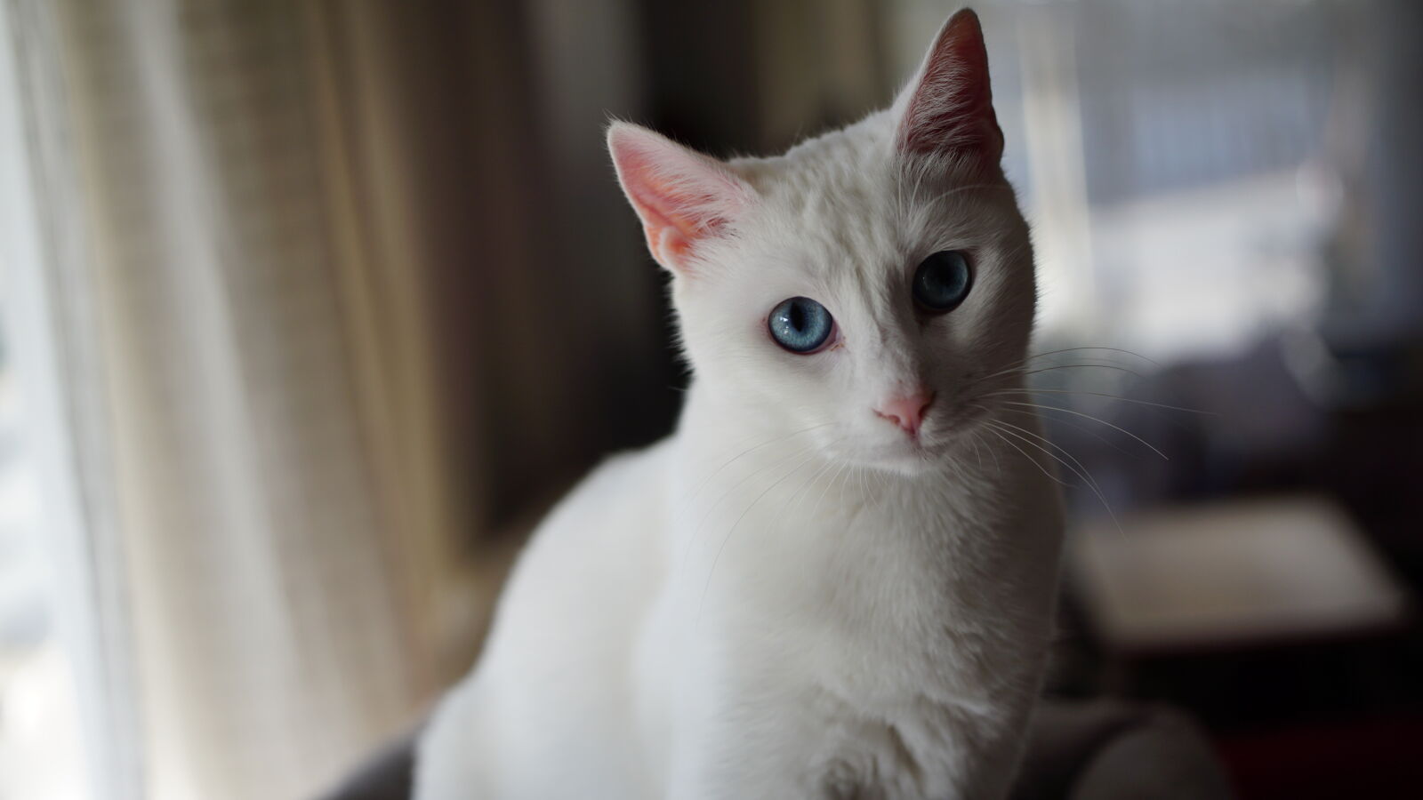 Sony a6000 sample photo. Maviş photography