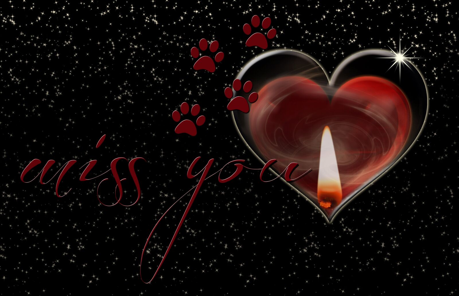 Nikon D3200 sample photo. Heart, star, miss photography