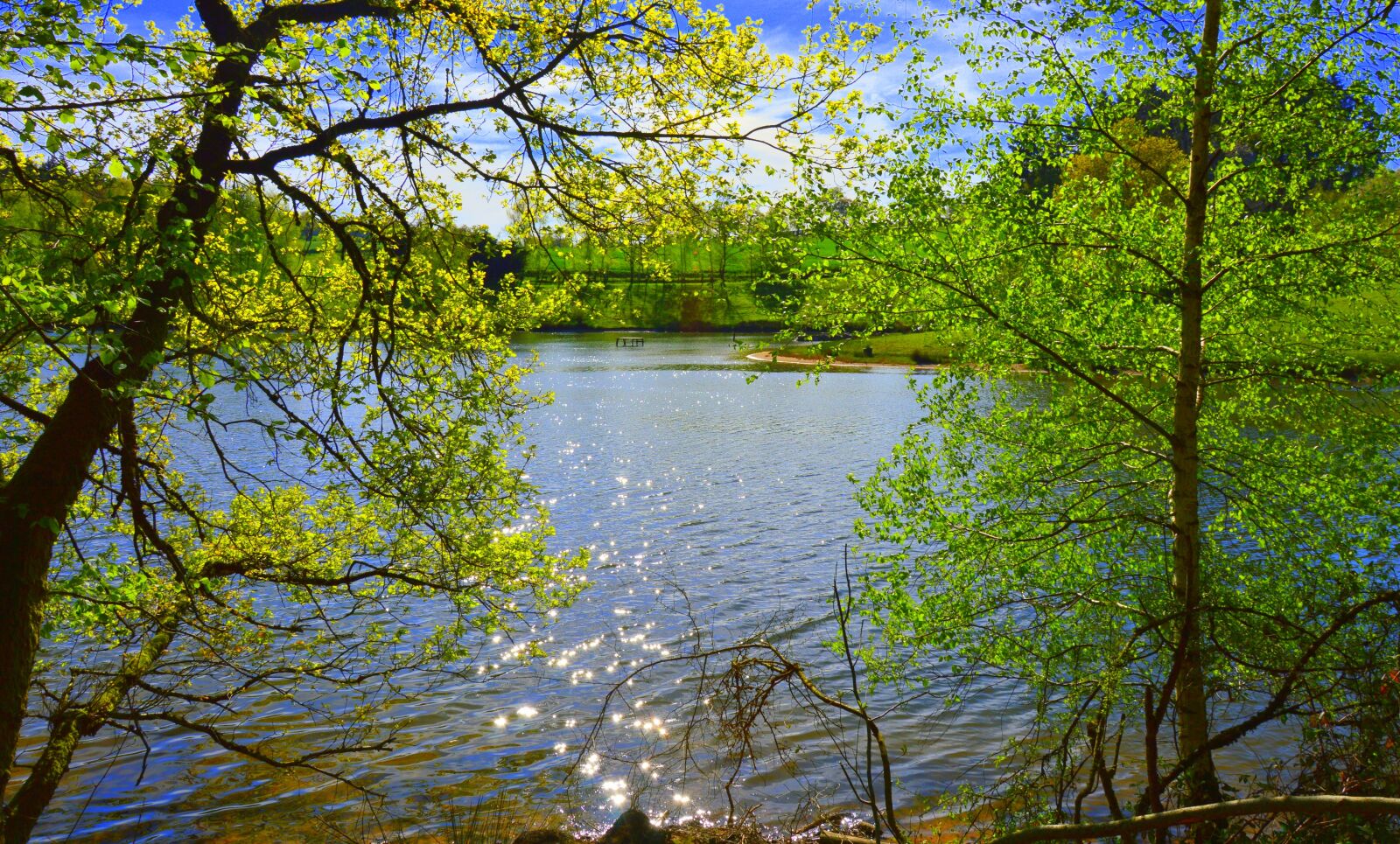 Nikon D3200 sample photo. Landscape, nature, pond photography