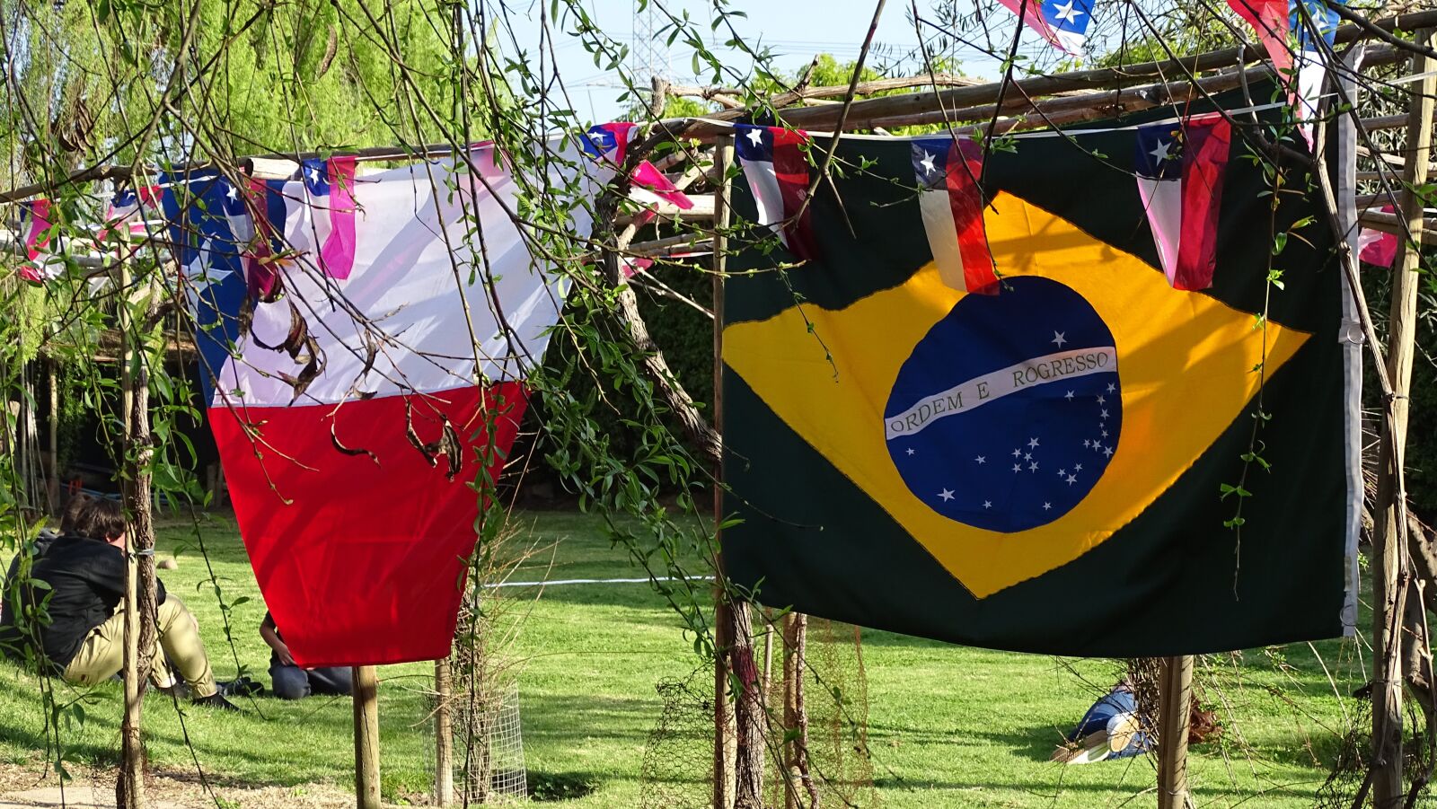 Sony Cyber-shot DSC-HX400V sample photo. Chile, brasil, bandera photography