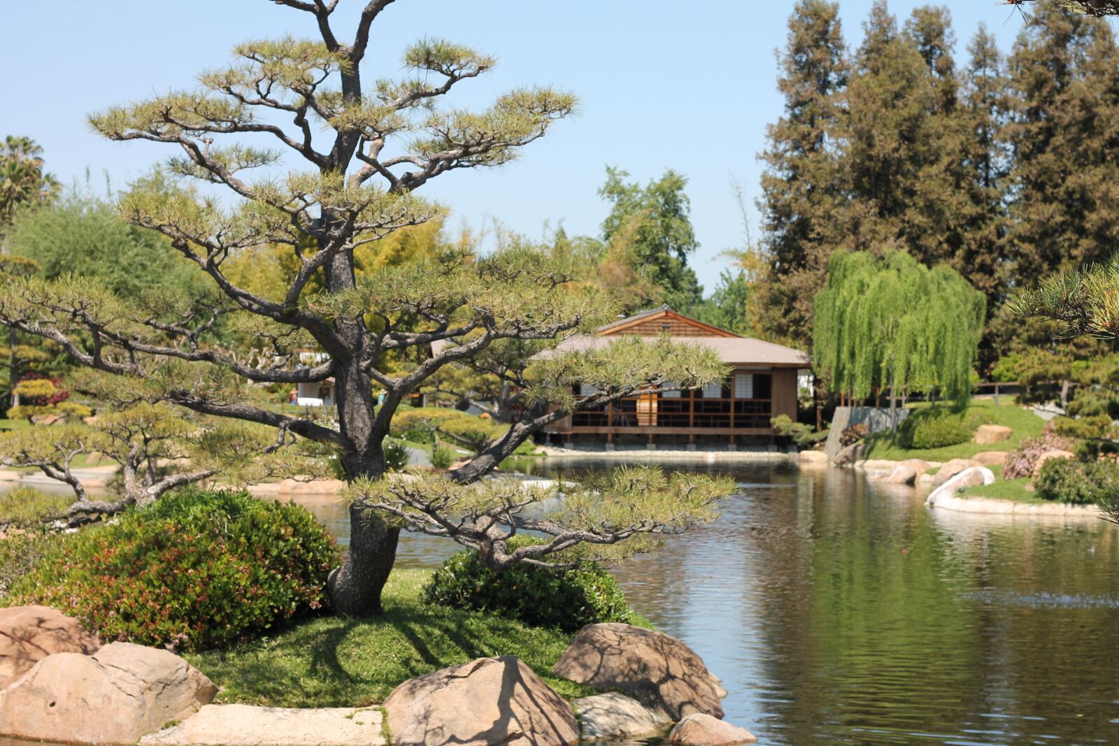 Canon EOS 1100D (EOS Rebel T3 / EOS Kiss X50) sample photo. Japanese garden, pond, garden photography