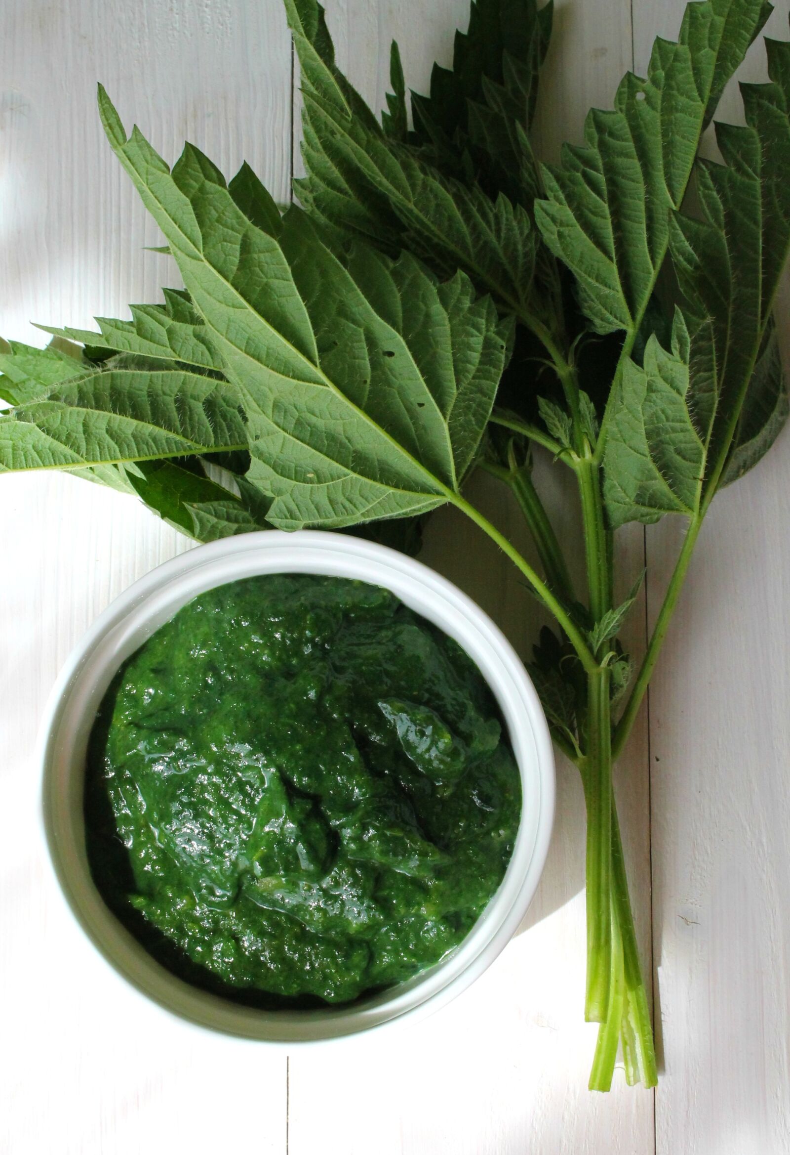 Canon EF-S 18-55mm F3.5-5.6 IS STM sample photo. Vegetable, stinging nettle, health photography