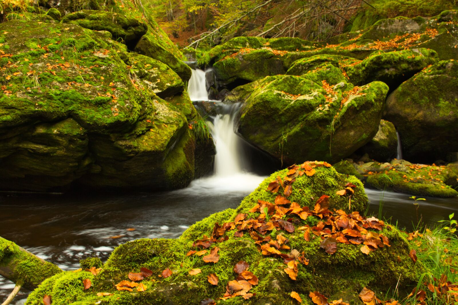 Canon EOS 600D (Rebel EOS T3i / EOS Kiss X5) sample photo. Creek, autumn, nature photography