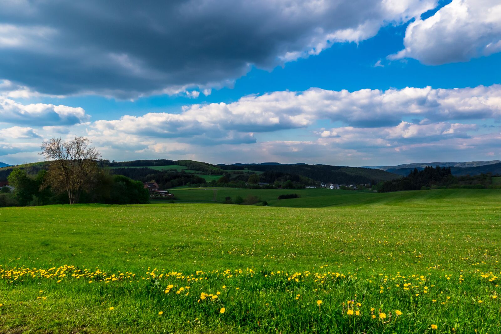 Canon PowerShot G3 X sample photo. Meadow, pasture, hill photography