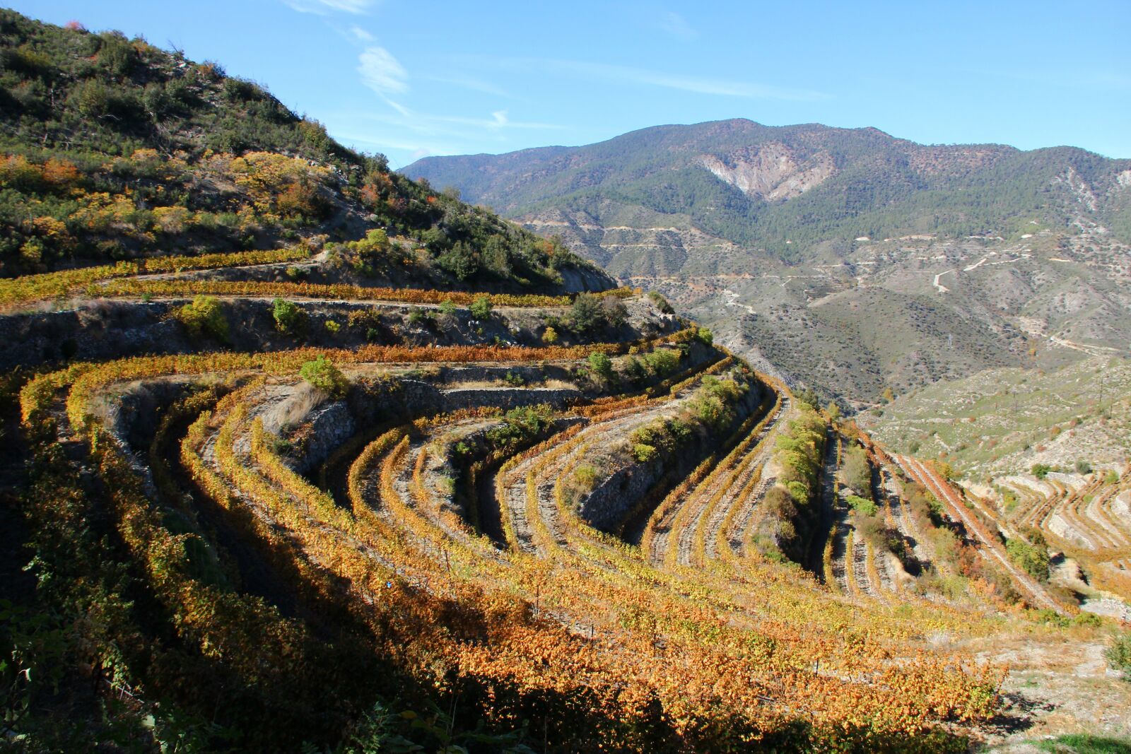 Canon EF-S 18-135mm F3.5-5.6 IS sample photo. Troodos, pitsilia, winery photography