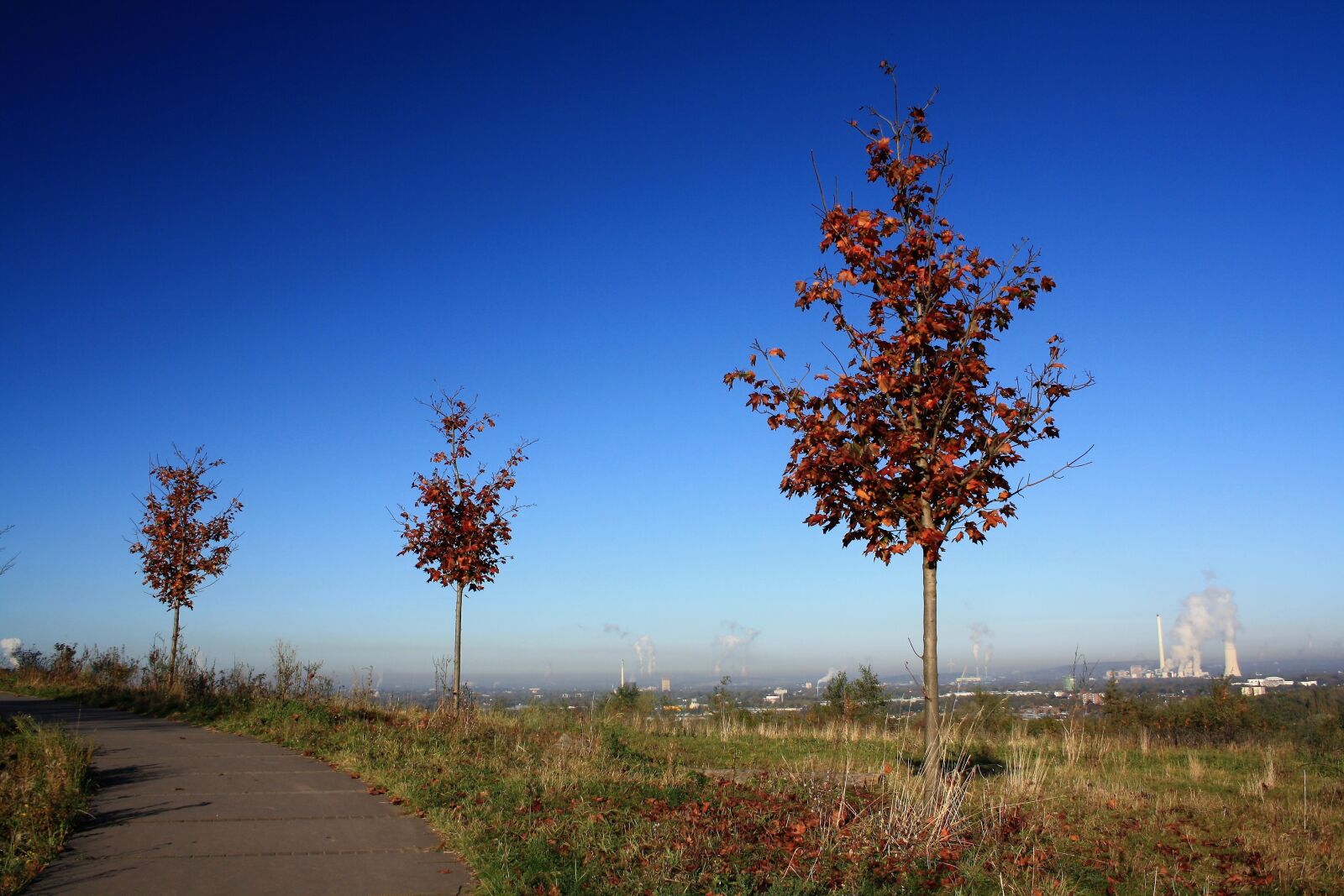 Canon EOS 1000D (EOS Digital Rebel XS / EOS Kiss F) sample photo. Dump, distant view, trees photography