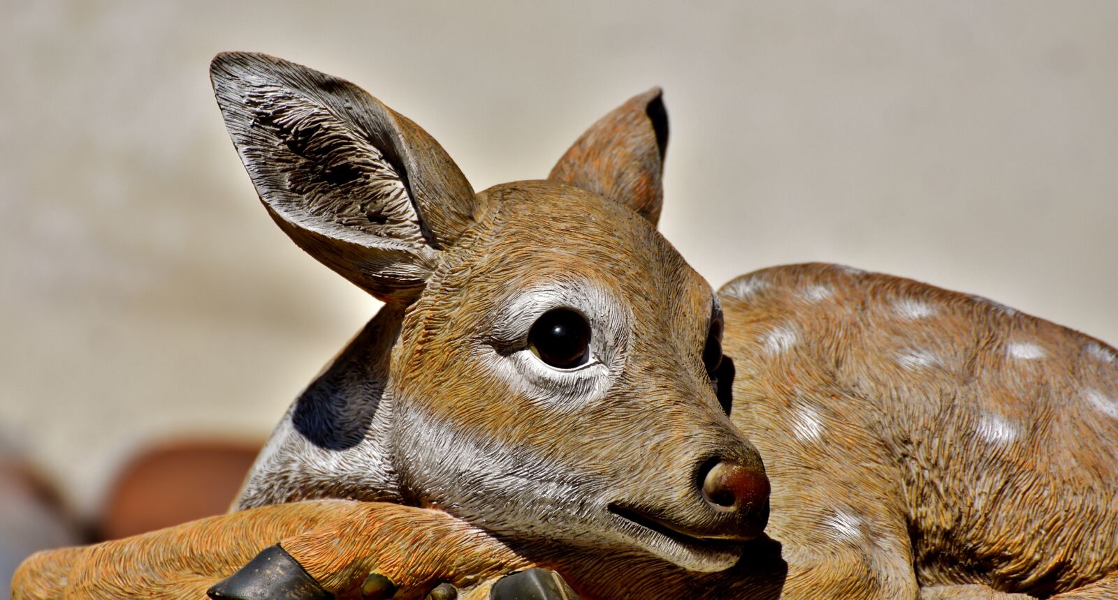 Nikon D7200 sample photo. Roe deer, kitz, figure photography