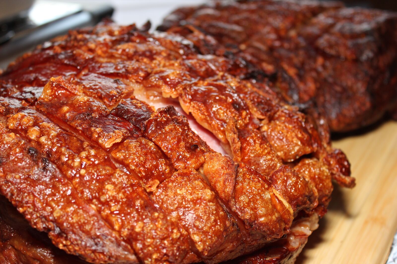 Canon EOS 600D (Rebel EOS T3i / EOS Kiss X5) sample photo. Crust roast, fry, pork photography