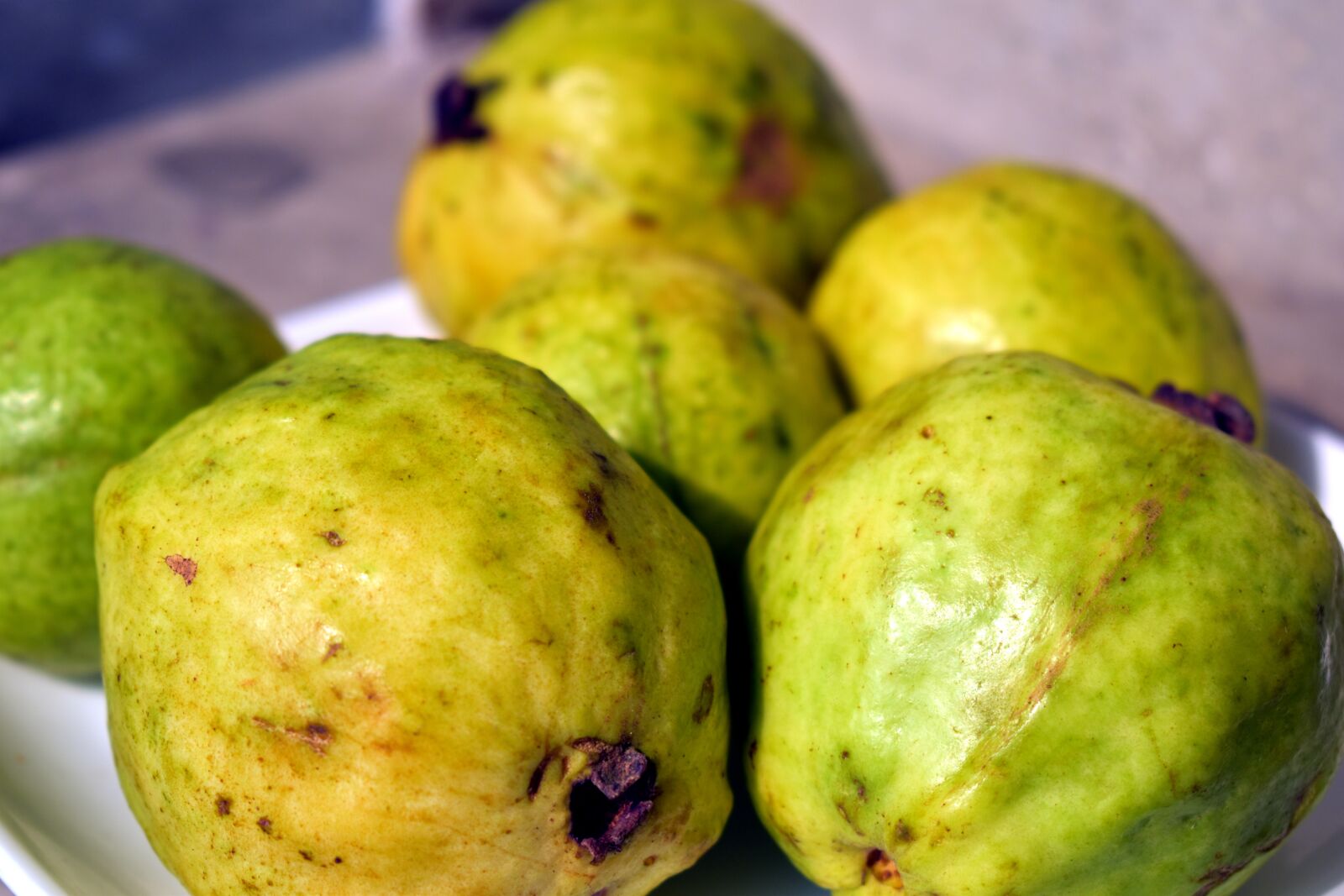 Nikon D5600 sample photo. Guavas, fruit, psidium photography