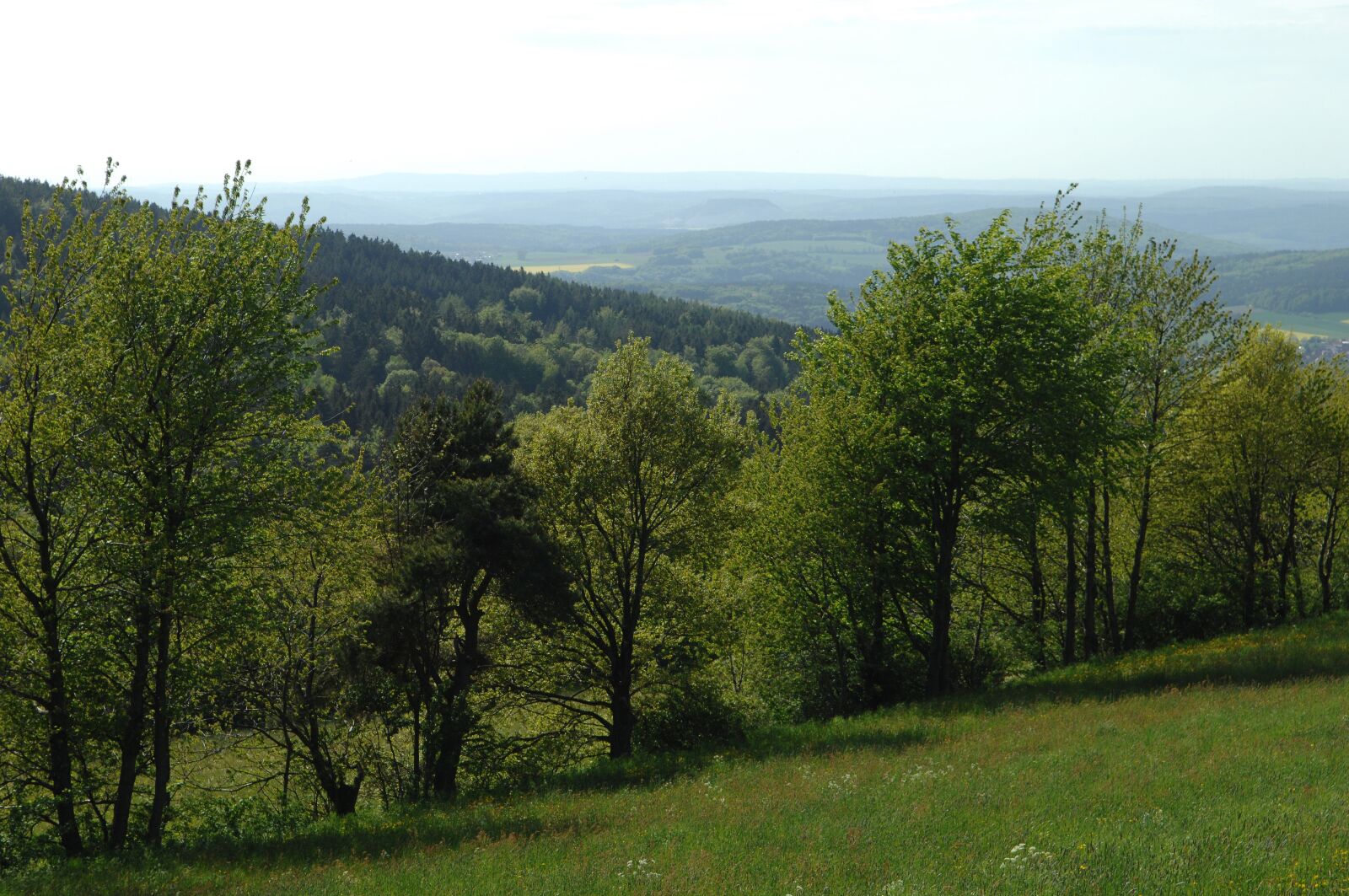 Nikon D2X sample photo. Mountain, view, rhön photography