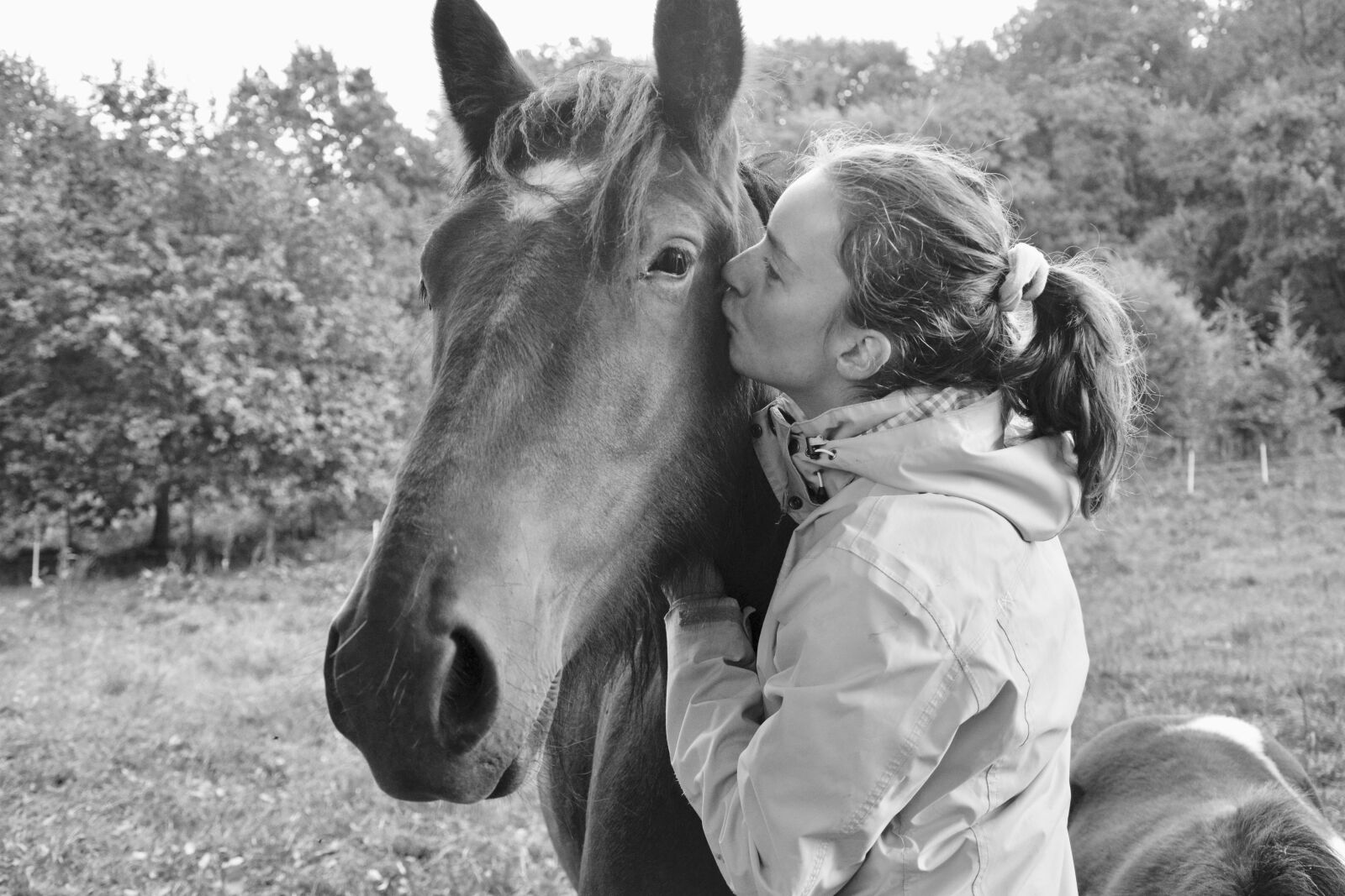 Nikon D5200 sample photo. Kiss, kisses, horse photography