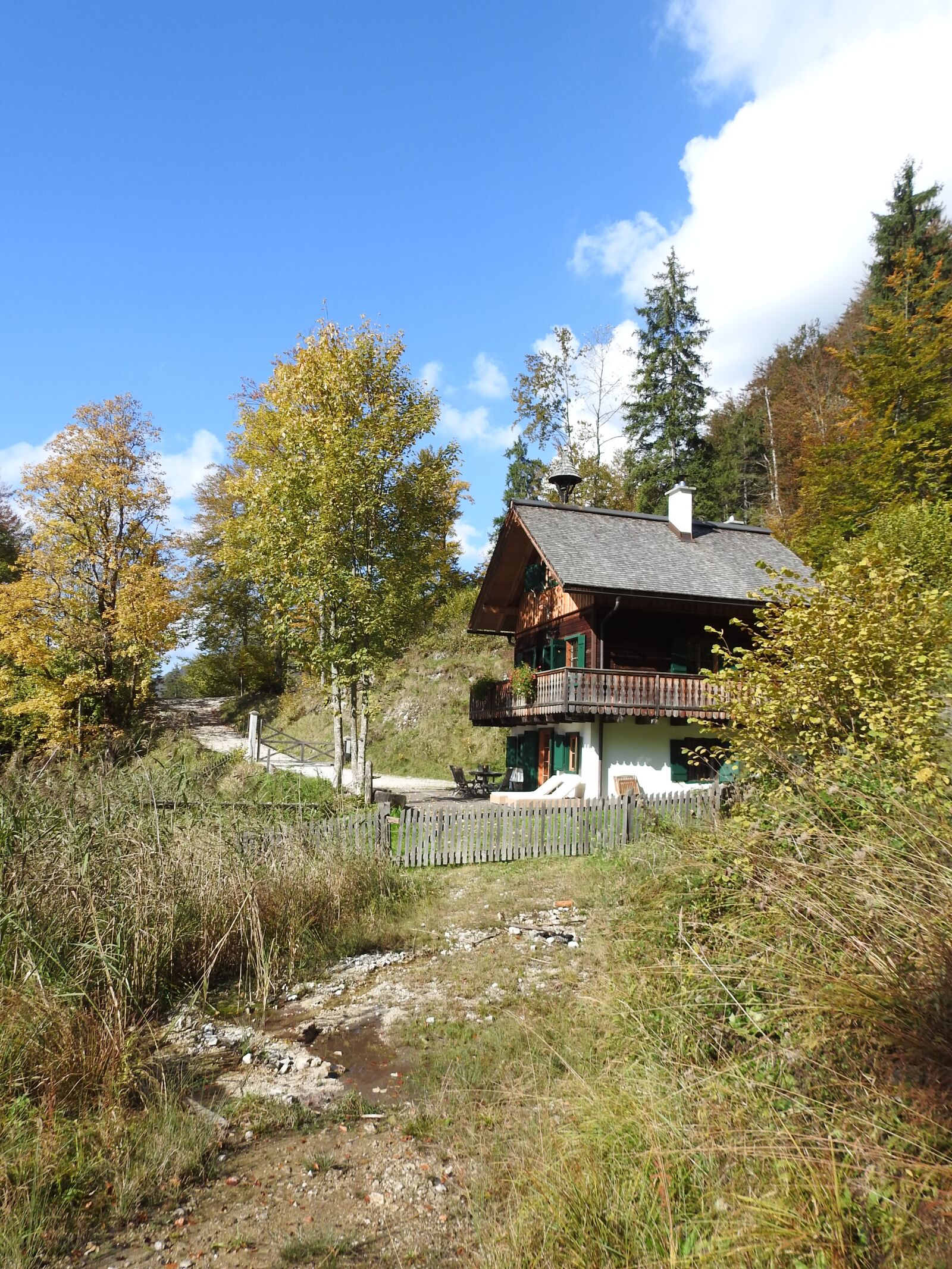 Nikon Coolpix P900 sample photo. Hut, forest, alone photography
