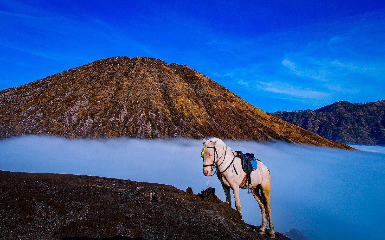 Sigma 17-70mm F2.8-4 DC Macro HSM sample photo. Horse, volcano, clouds photography