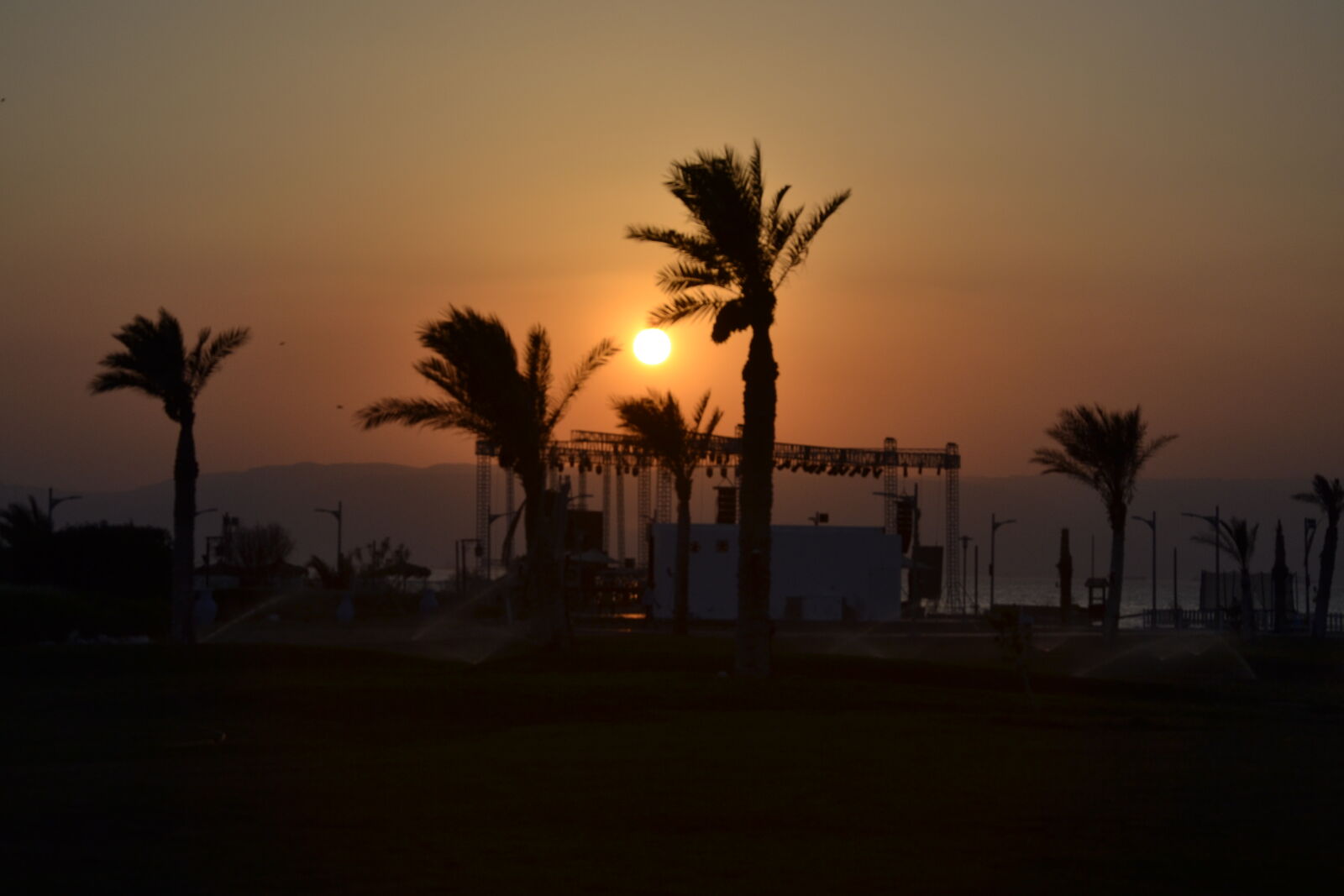 Nikon D3100 sample photo. X, egypt, everydayeverywhere, everydayafric photography