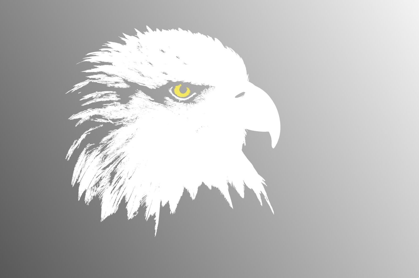Nikon D300 sample photo. Wallpaper, funds, aguila photography