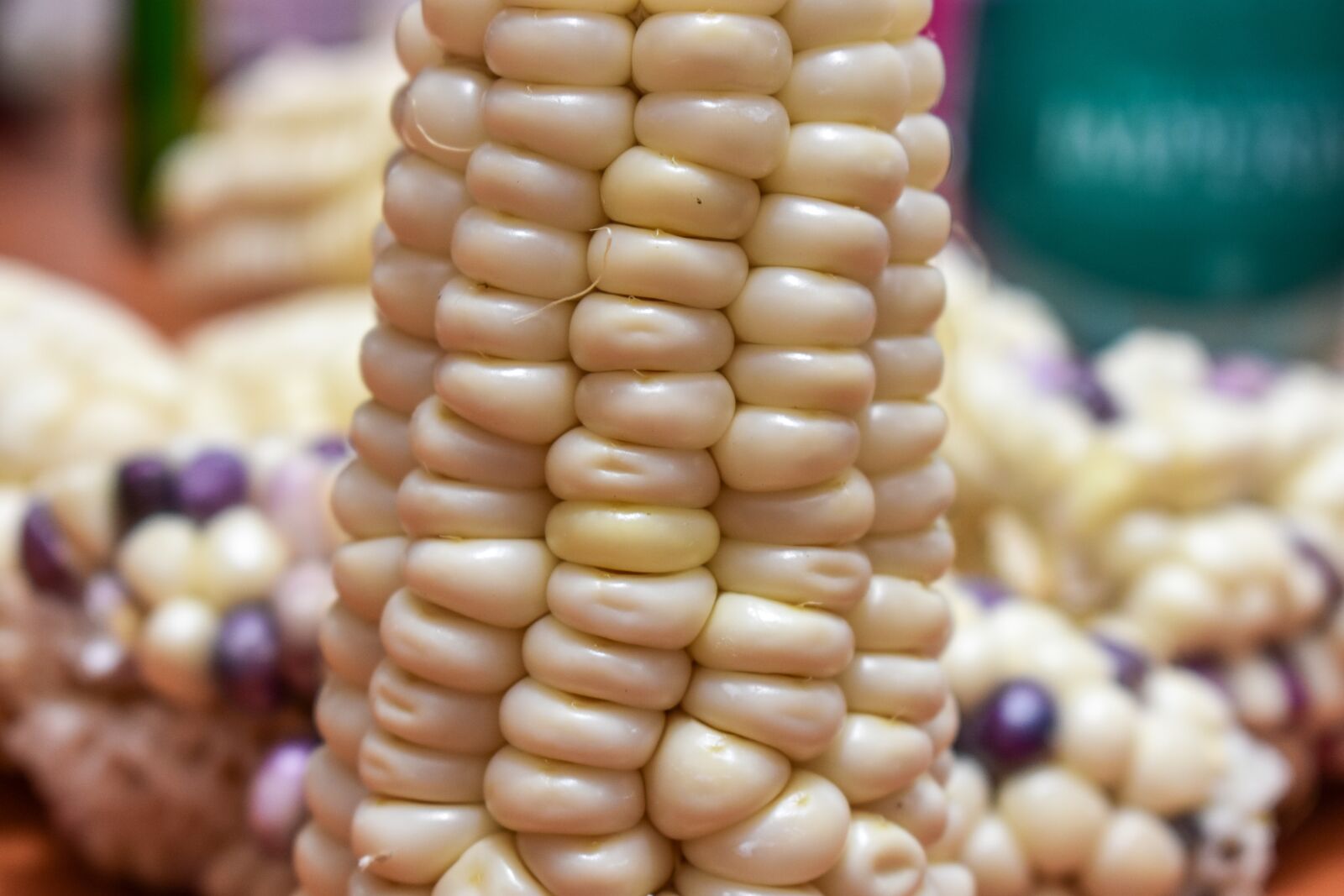 Nikon D3400 sample photo. Corn, cob, agriculture photography