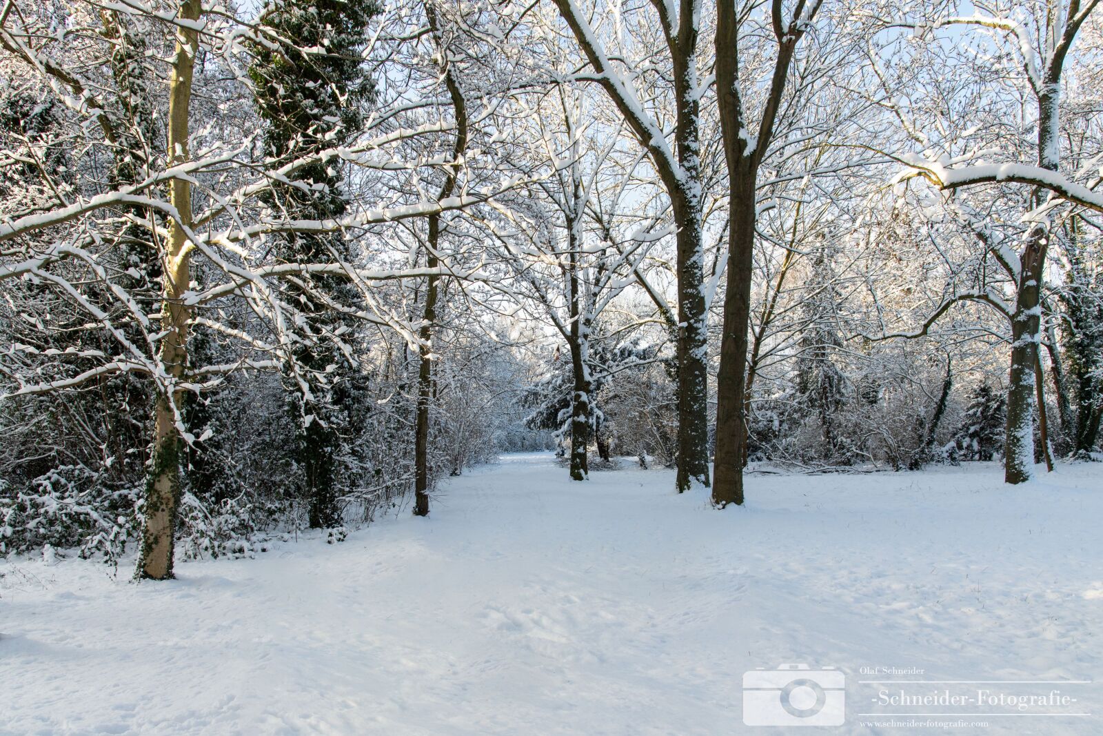 Nikon D850 sample photo. Winter in berlin- rudow photography