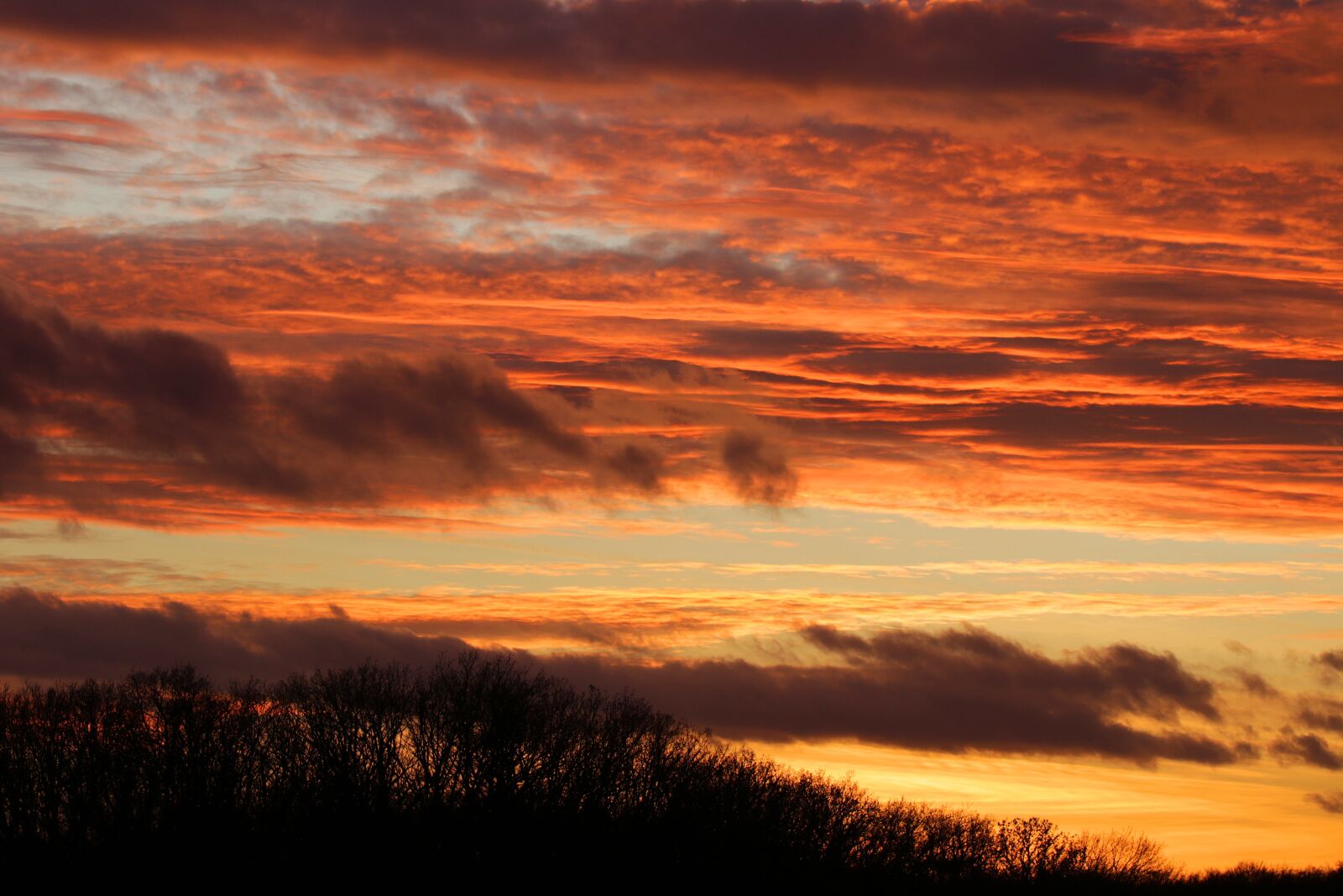 Canon EOS 7D Mark II sample photo. Evening sky, winter evening photography