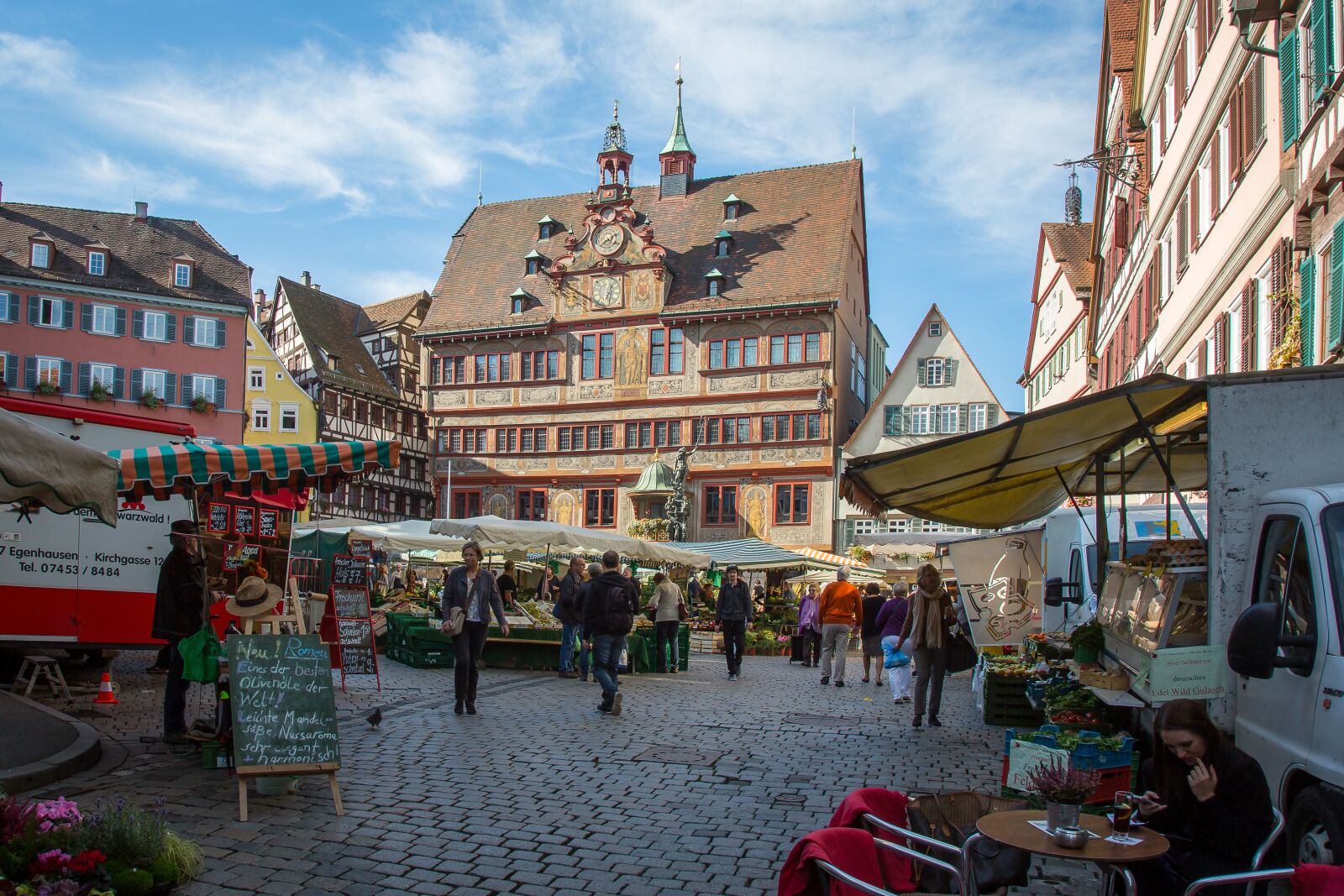 Canon EF 24-105mm F4L IS USM sample photo. T bingen, town hall photography