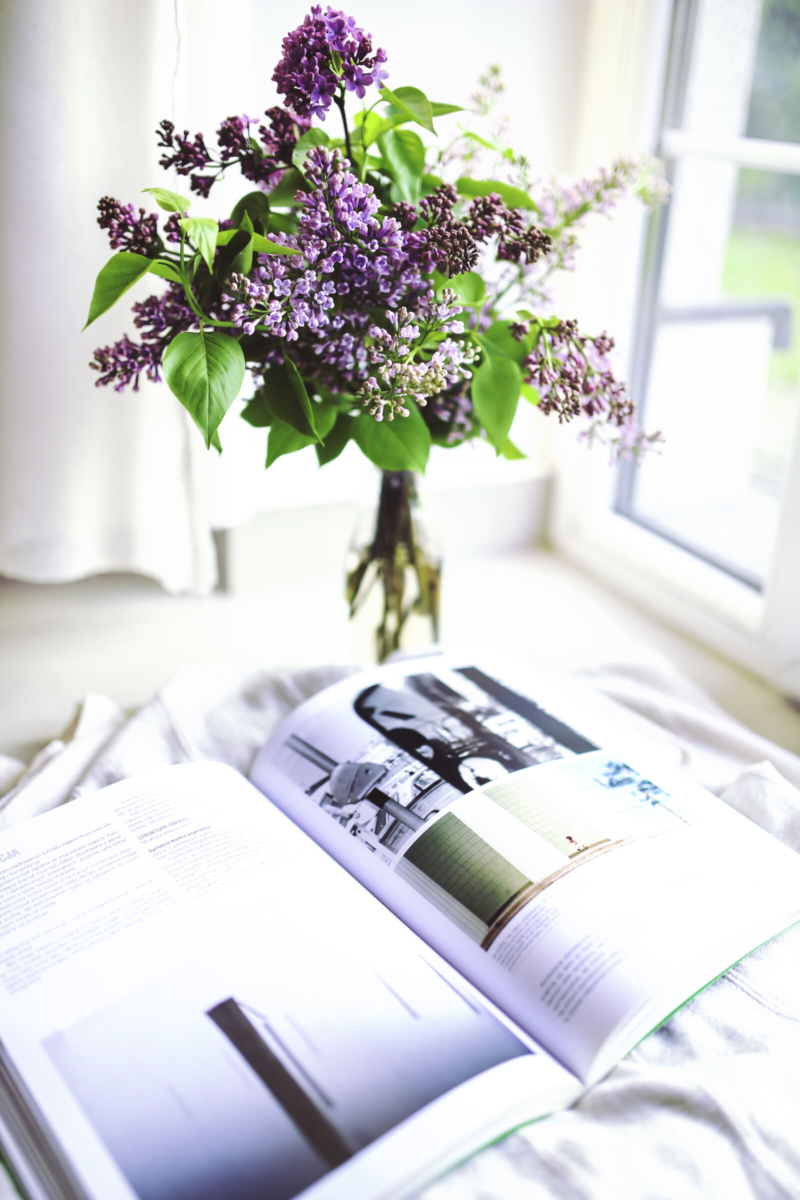 Canon EOS 6D + Sigma 35mm F1.4 DG HSM Art sample photo. Sambucus, elder, elderberry photography